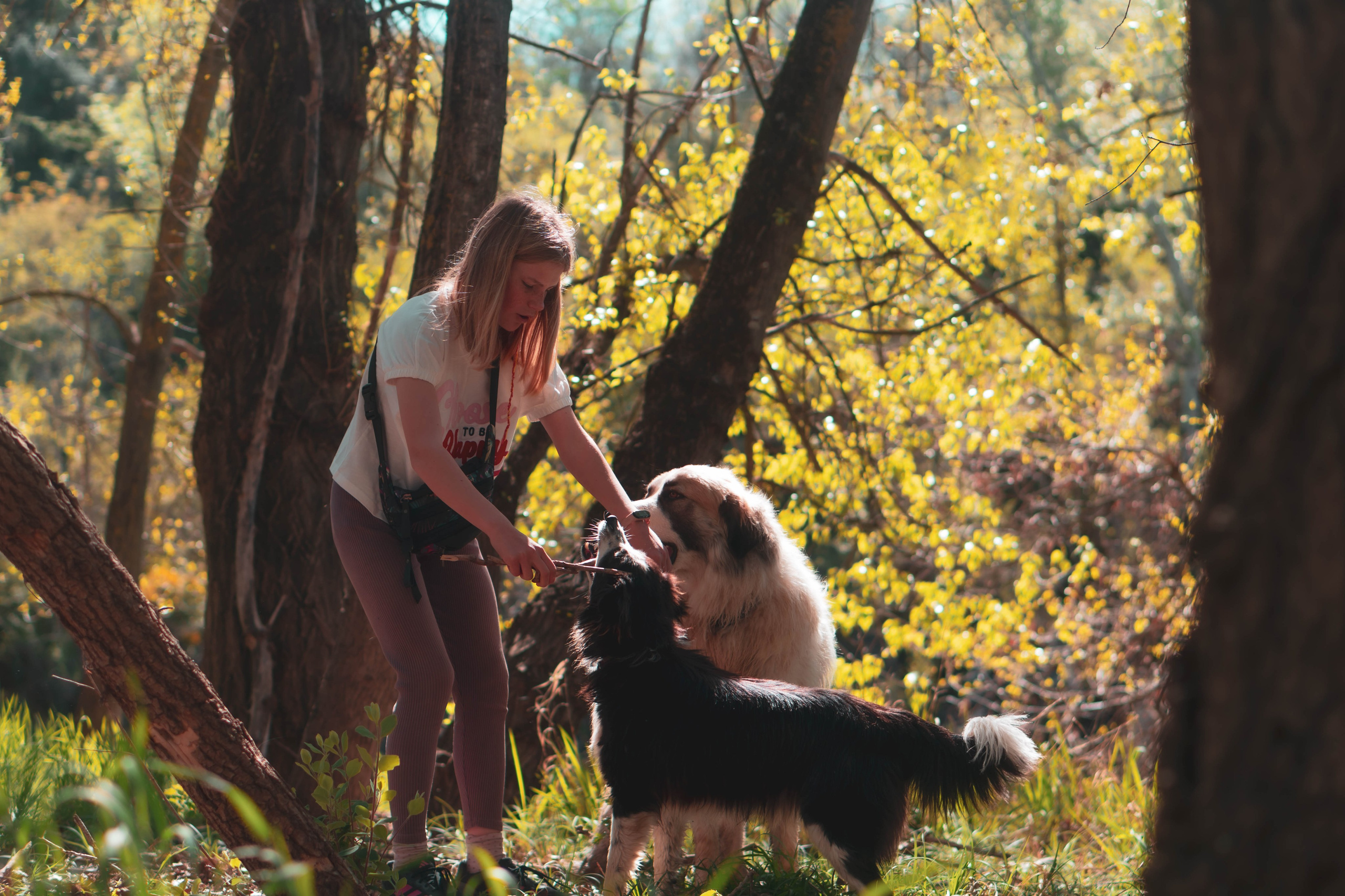 Noa&Agnia. Alba del Norte Studio