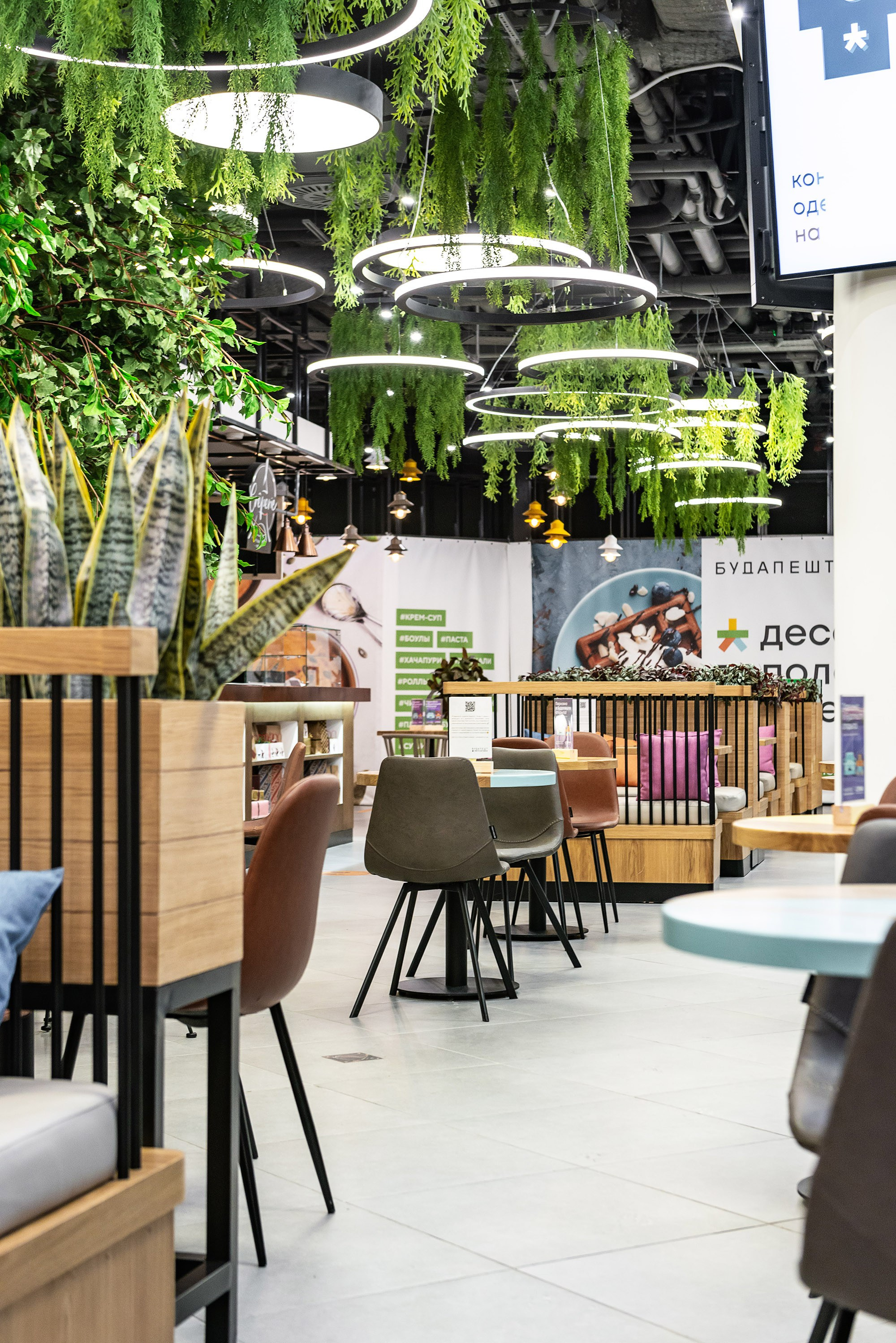 Кафе и Рестораны. ФОТОГРАФ МЕКСИКА КИНТАНА-РОО