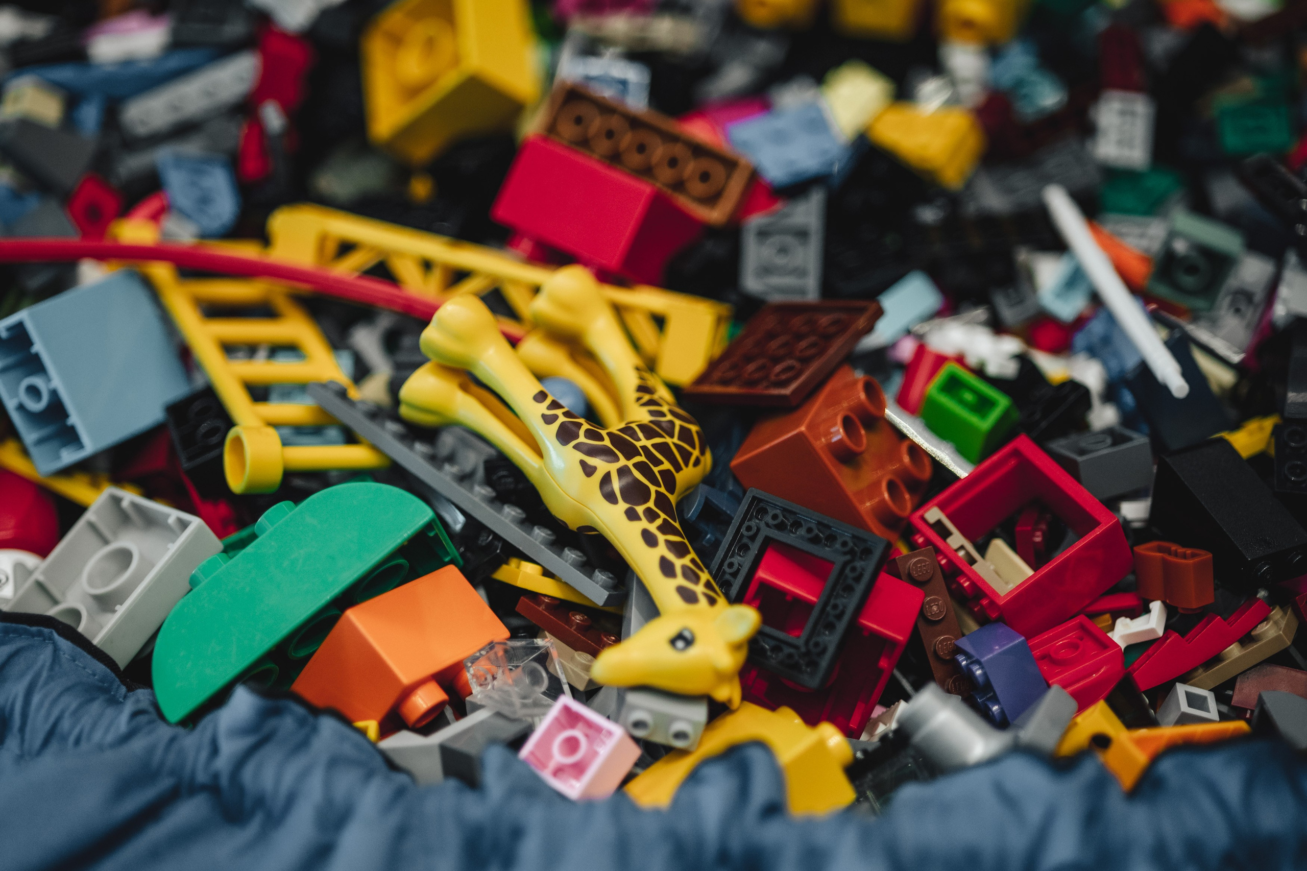 Australian Standards 2-day team-building event. True Story Photography