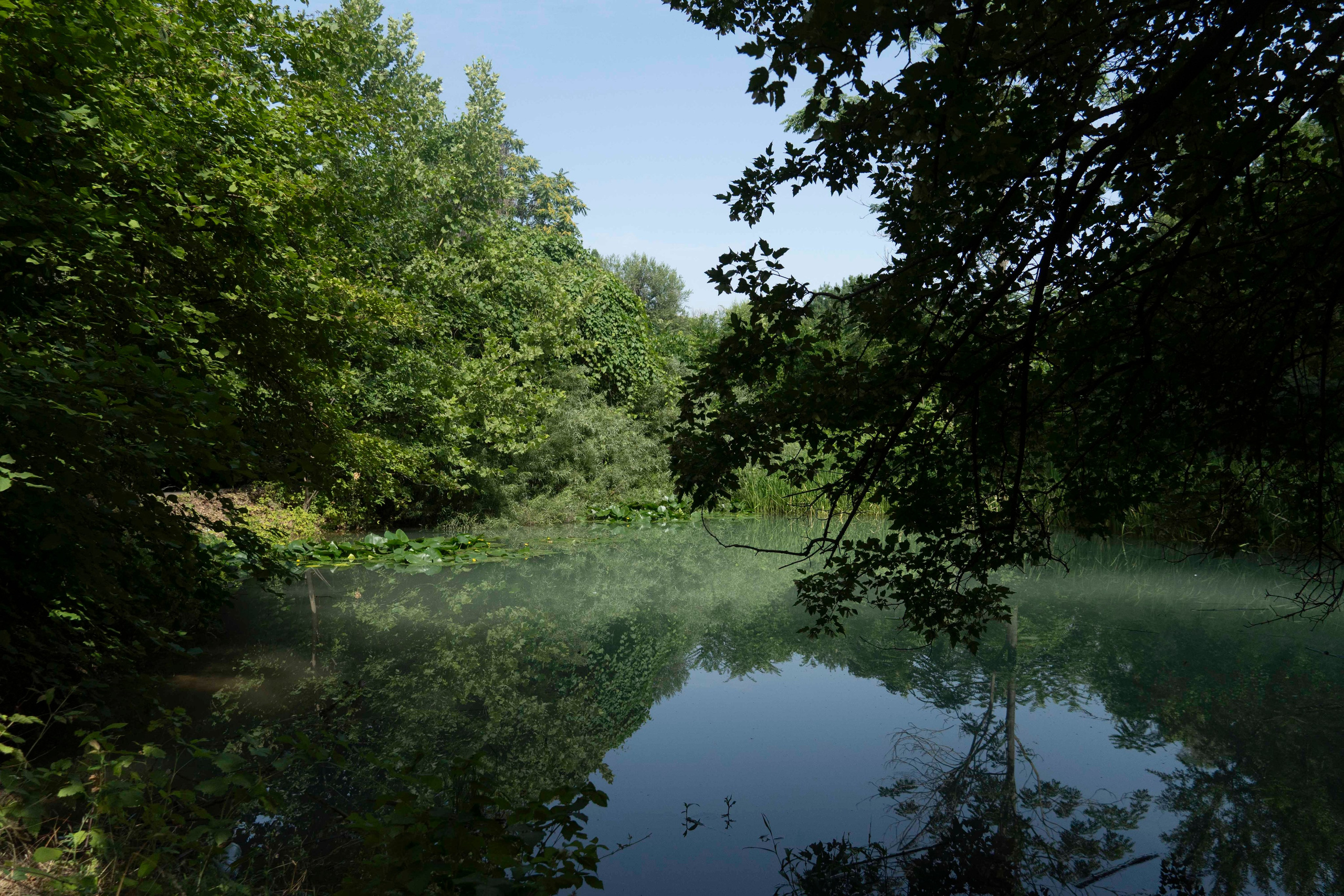 Wildlife Photography Programme (British Council x MOC). Melikov Amir, Uzbekistan based photographer