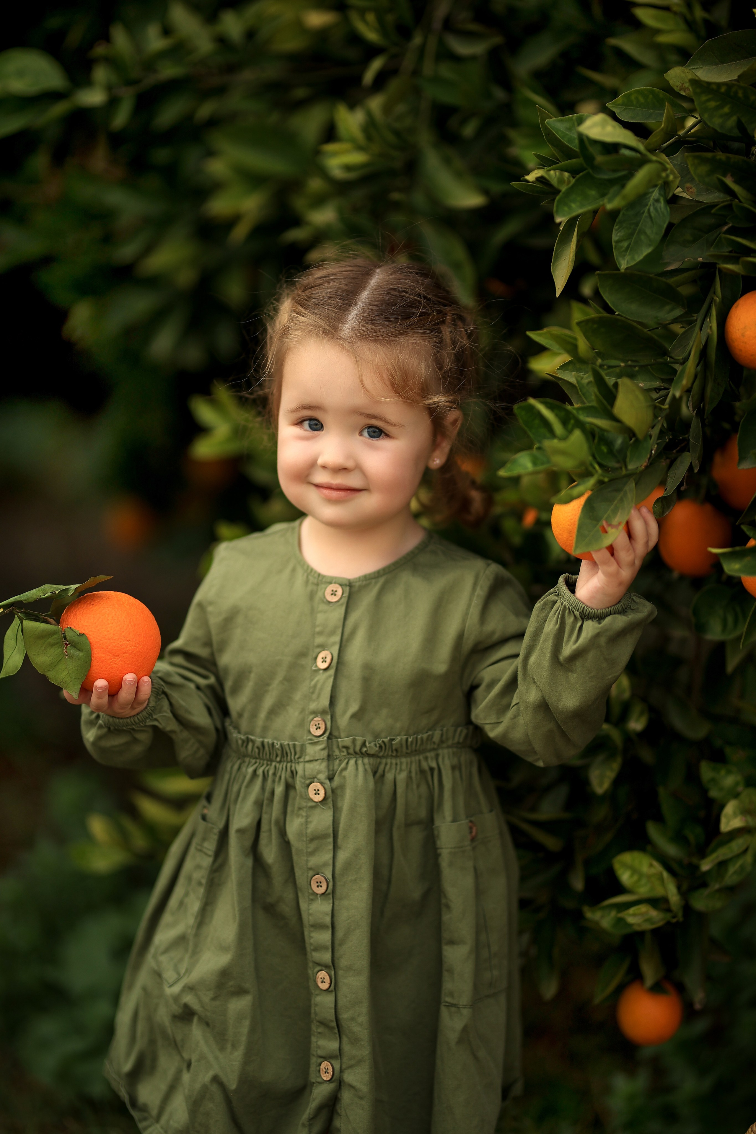 Photoshooting in orange garden. Photographer in Turkey, Antalya, Kemer, Belek, Side, Kas, Fethiye