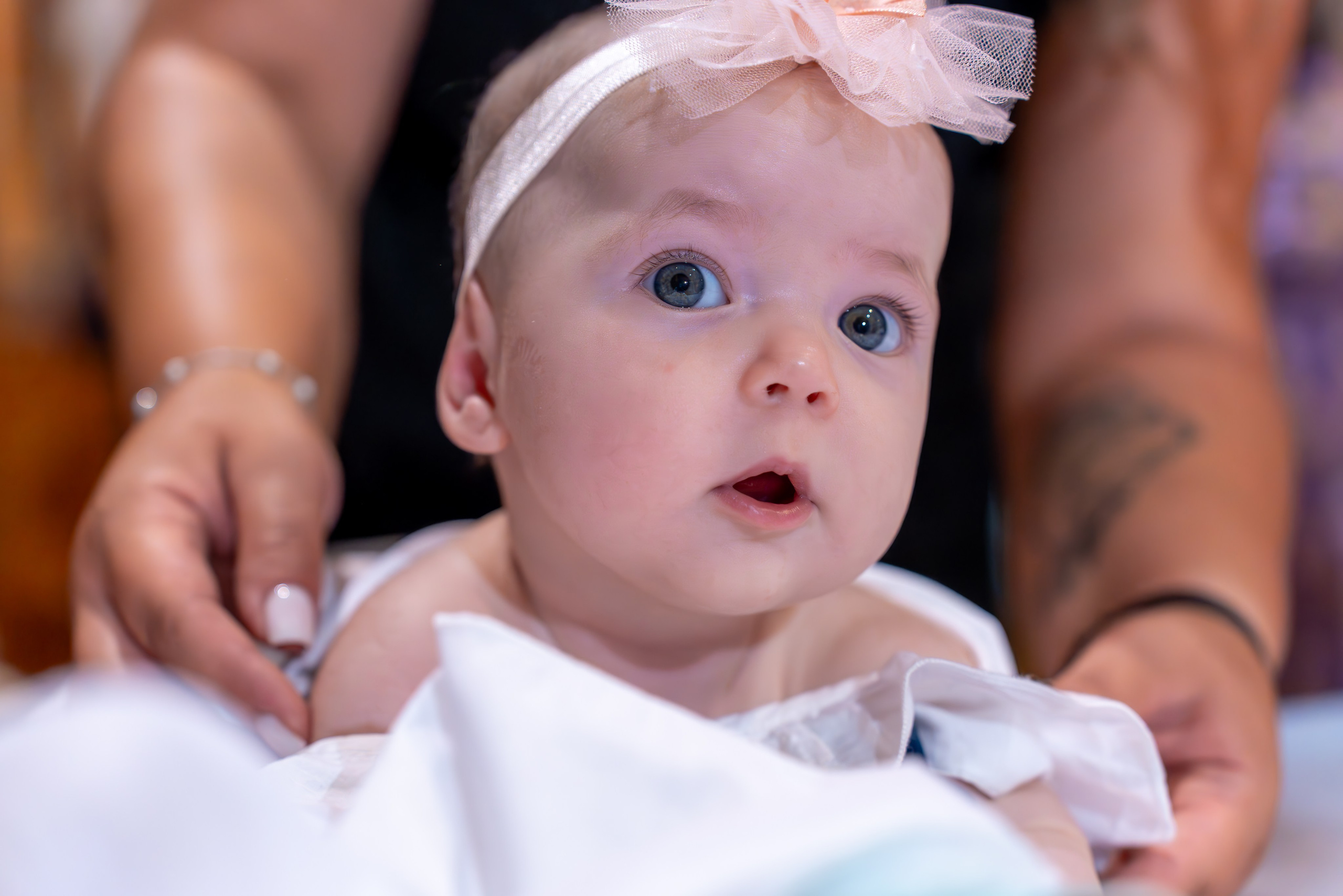 ✨ Portofoliu Botez ✨. Murgeanulucian