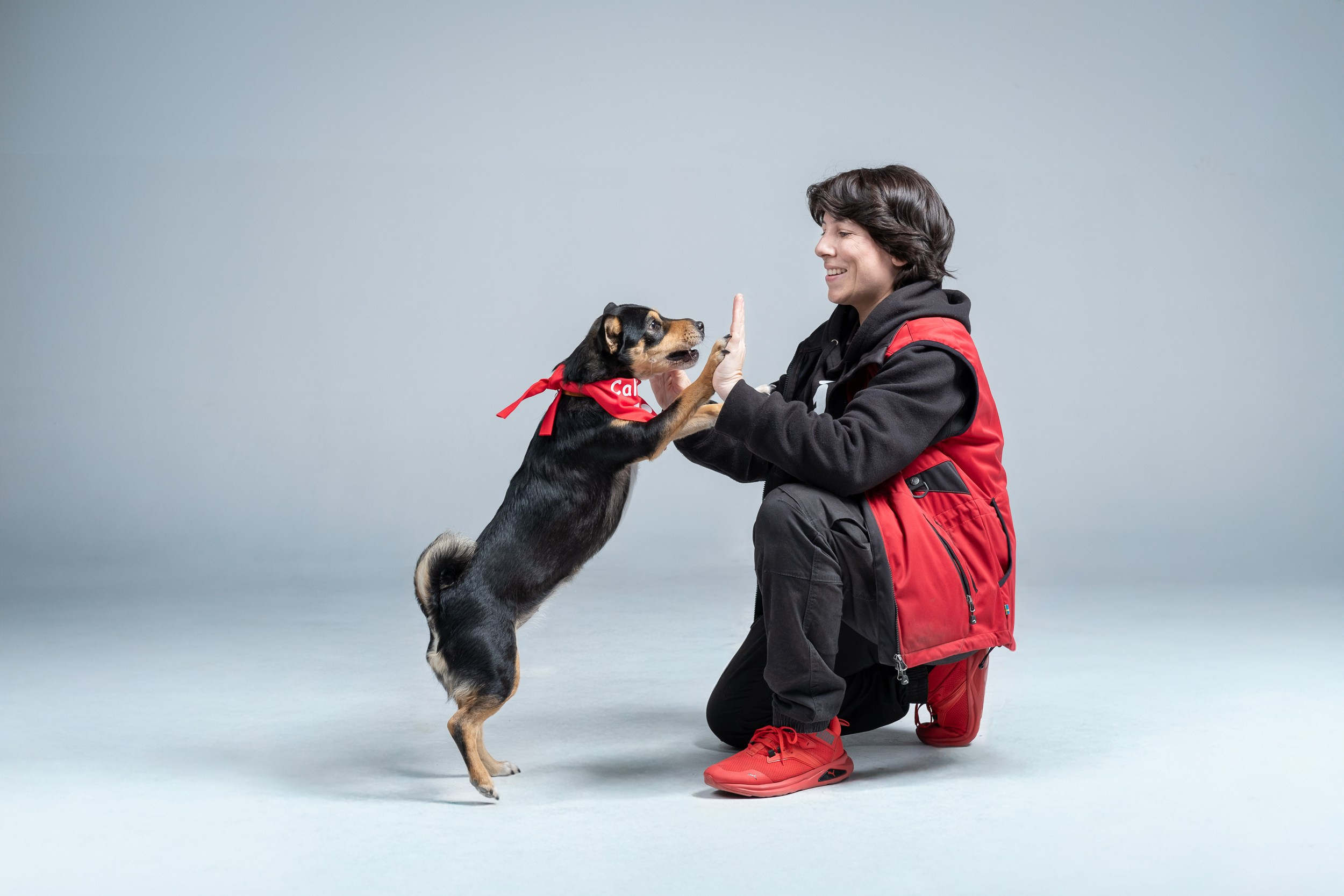 Sesión Corporativa Caliani K9. Fotos con huella, fotografía de perros y mascotas en Sevilla