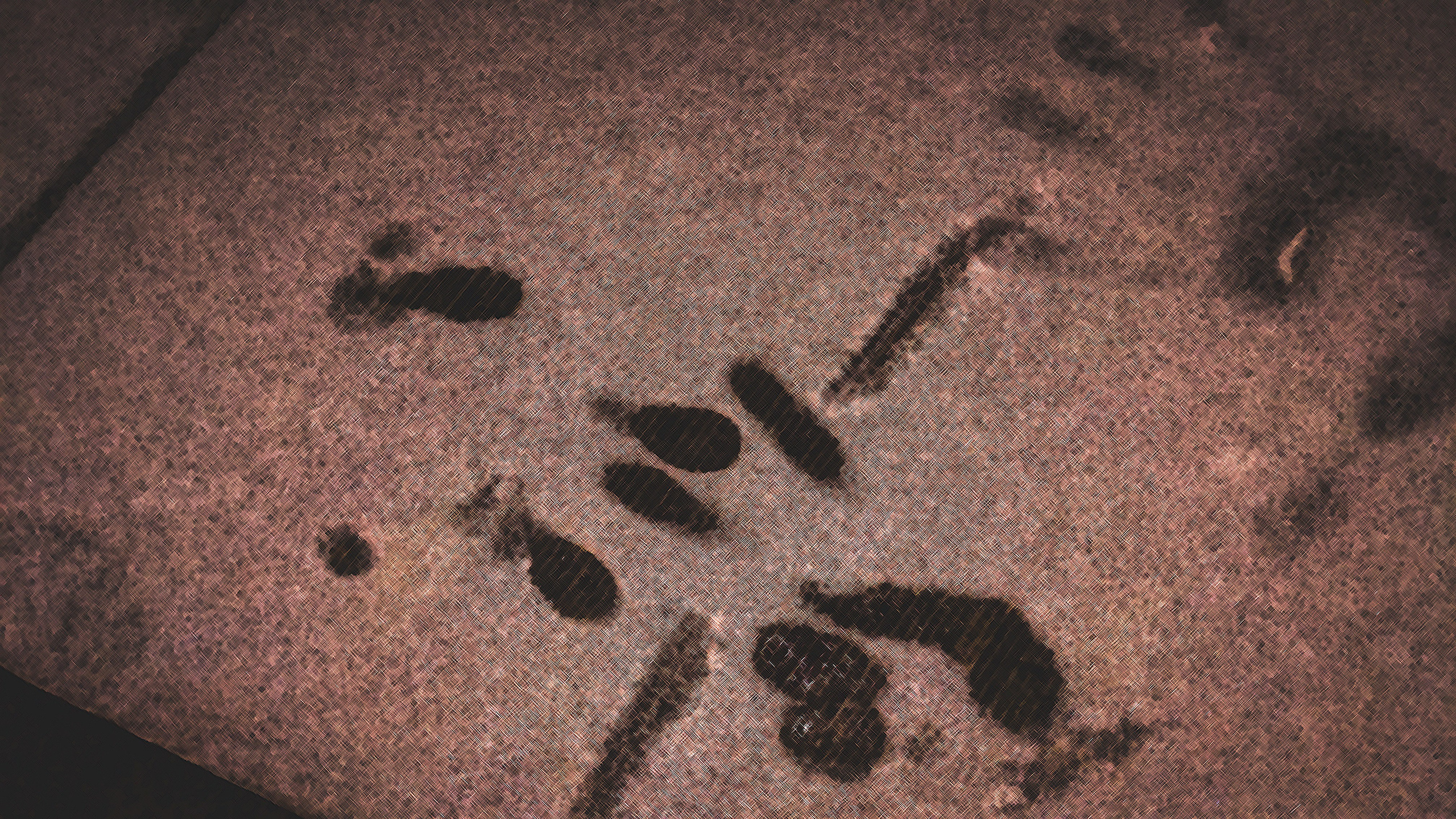 Eelmine öö. Nebula 25 — Fotod teie hingele