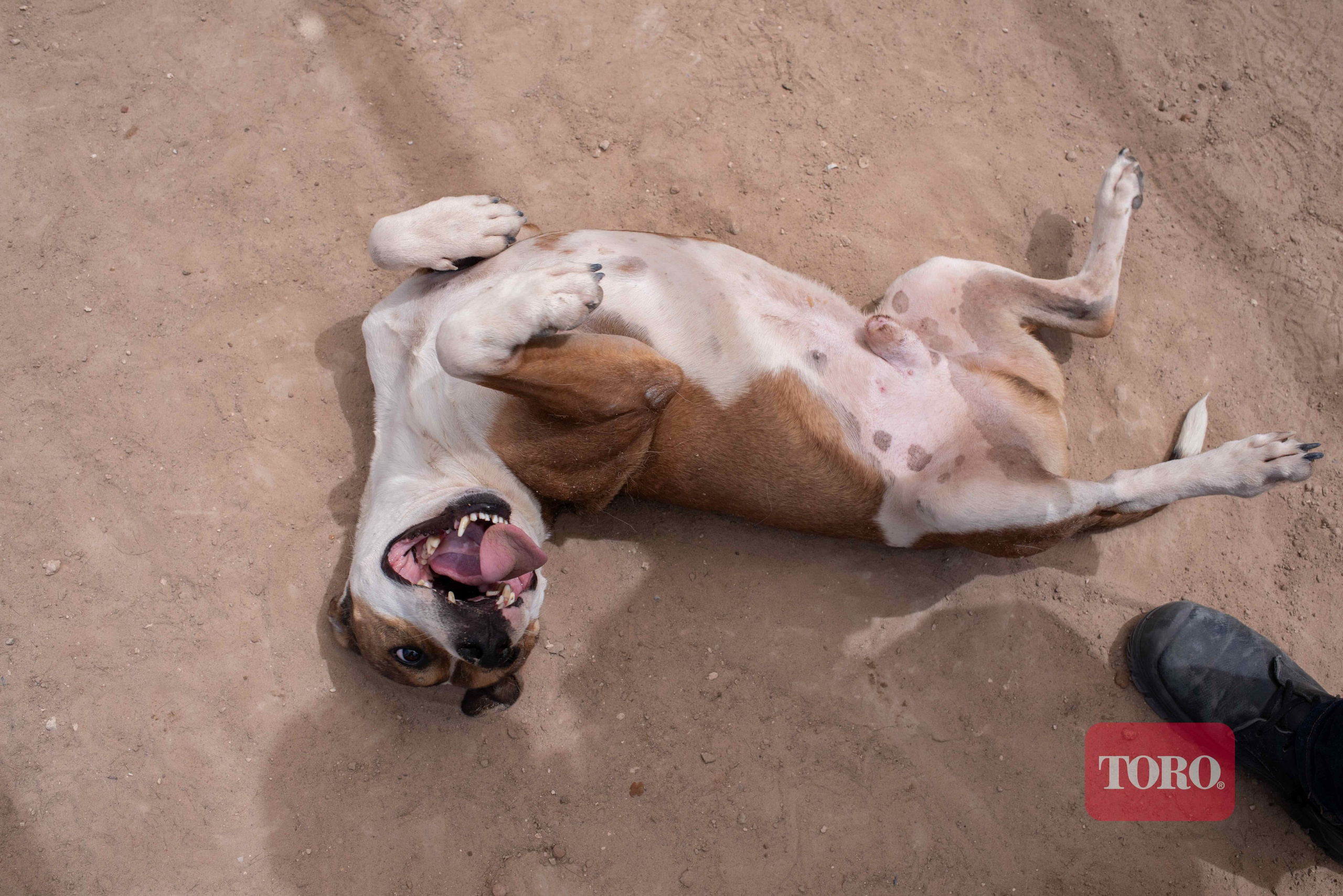 Cobertura de eventos corporativos