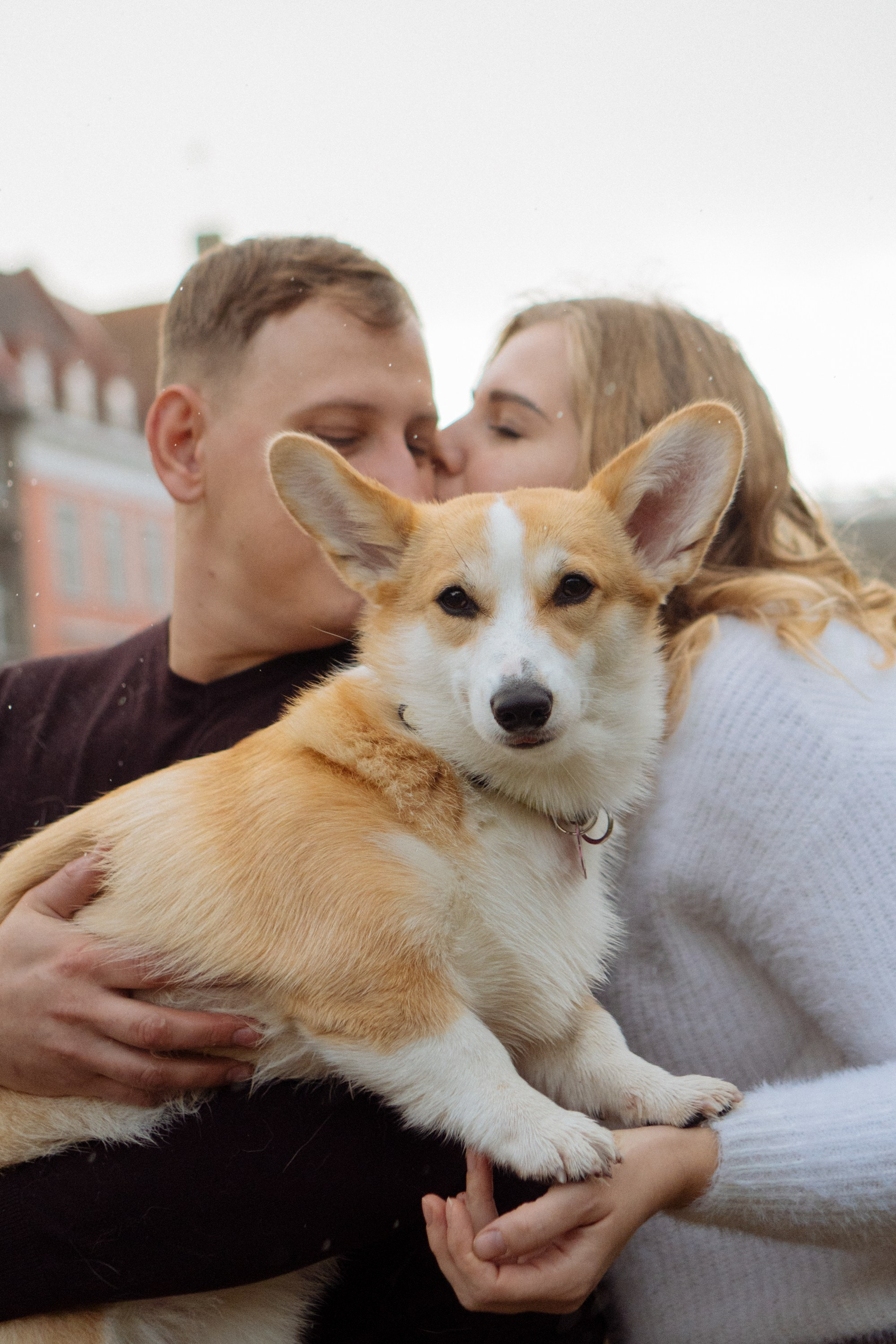 Maarika, Jegor and their Luna, Pembroke Welsh Corgi. Kat Laisaar — Pet photographer in Tallinn
