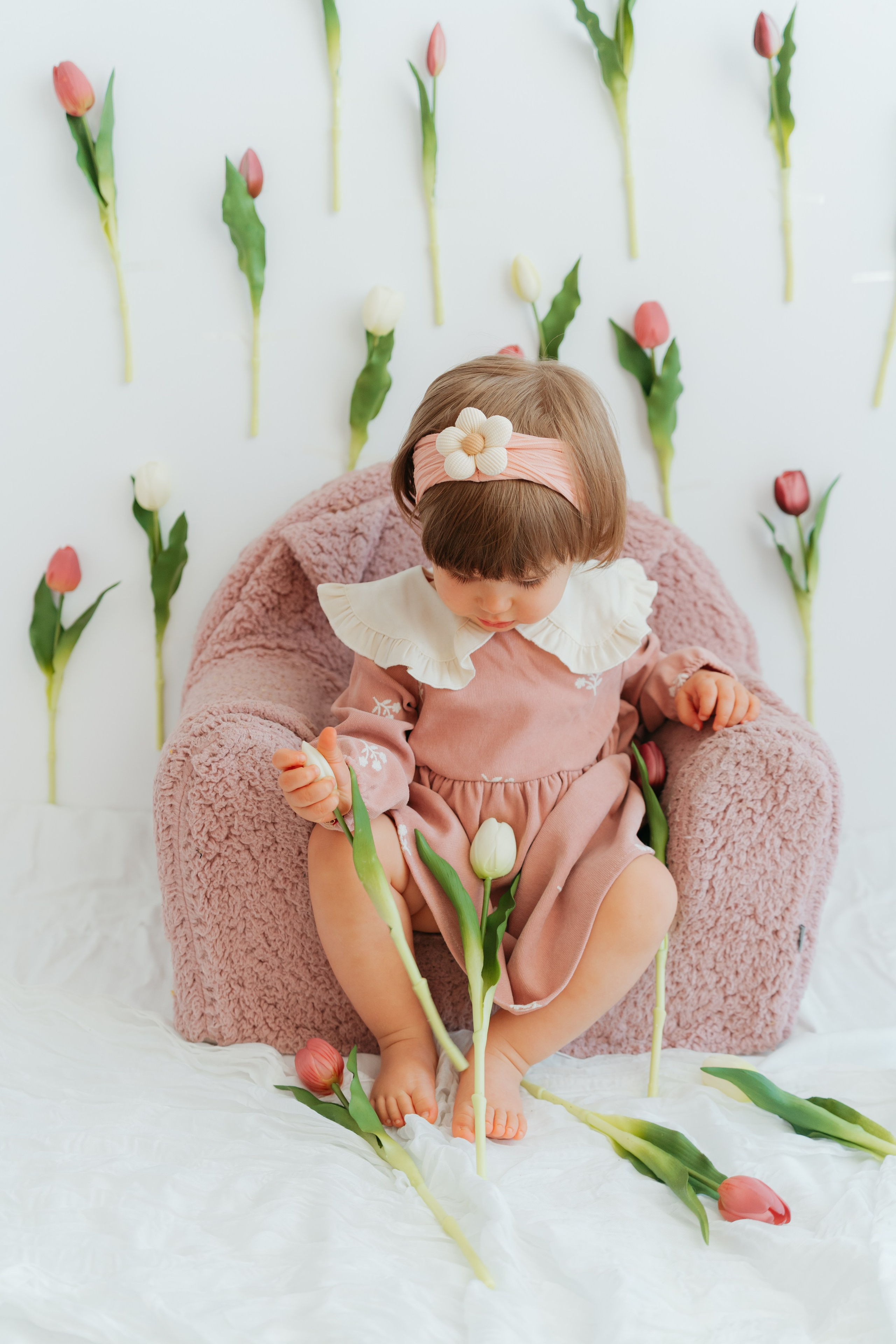 SPRING SESSION. Ars Vidi | Digital Solutions