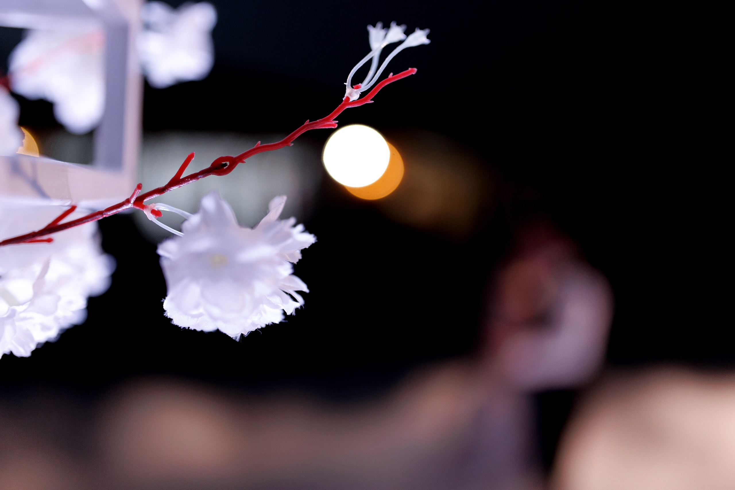 A+E. Свадебный фотограф Каледич Тимофей