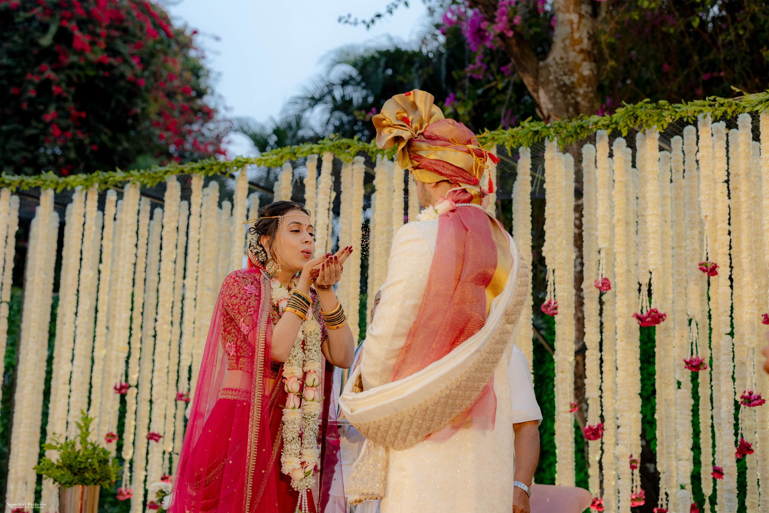 Tanvi & Neil | Wedding