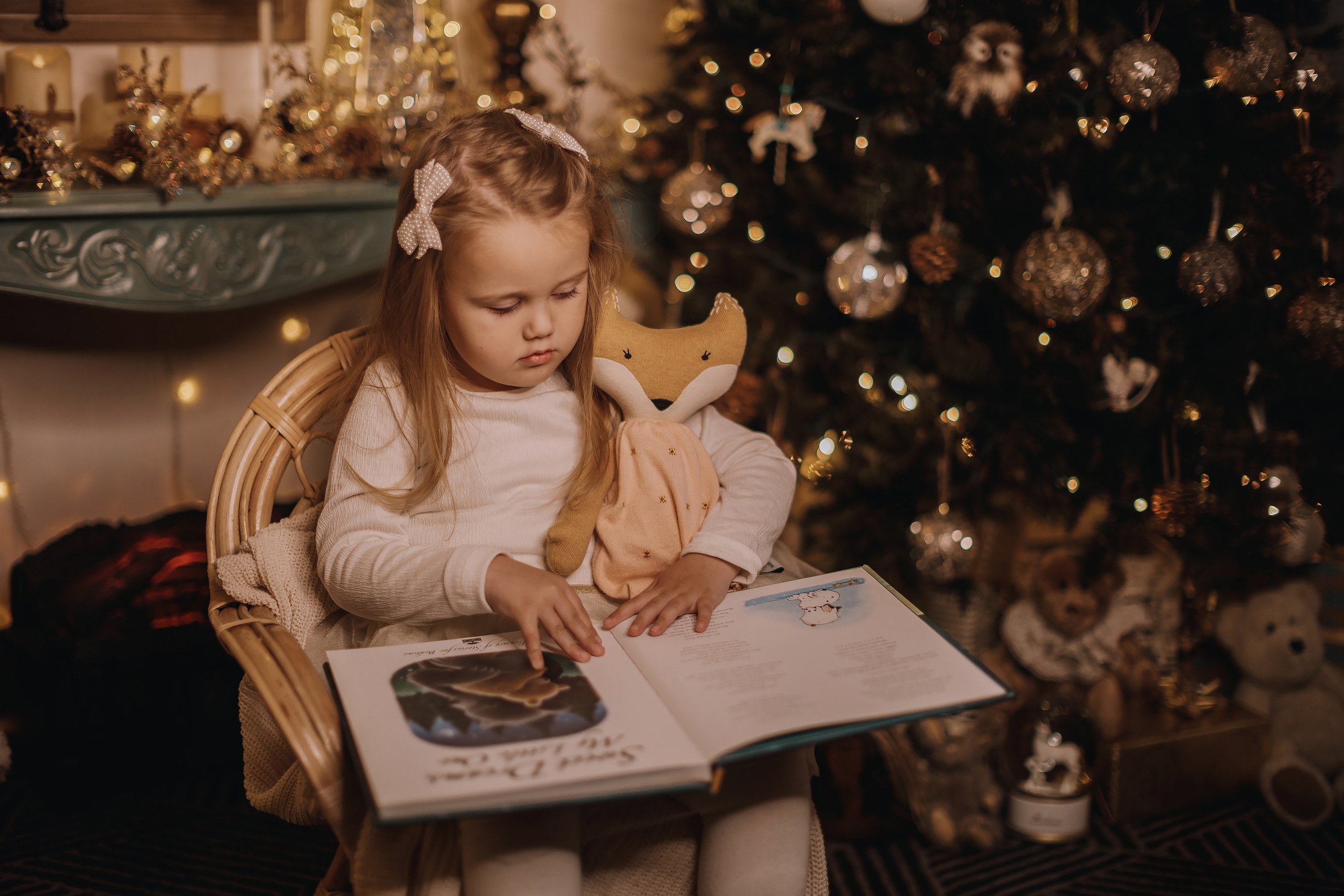 25.11.2023 Christmas Photoshoot. Wedding family event photographer in Chicago Nick Yushevich