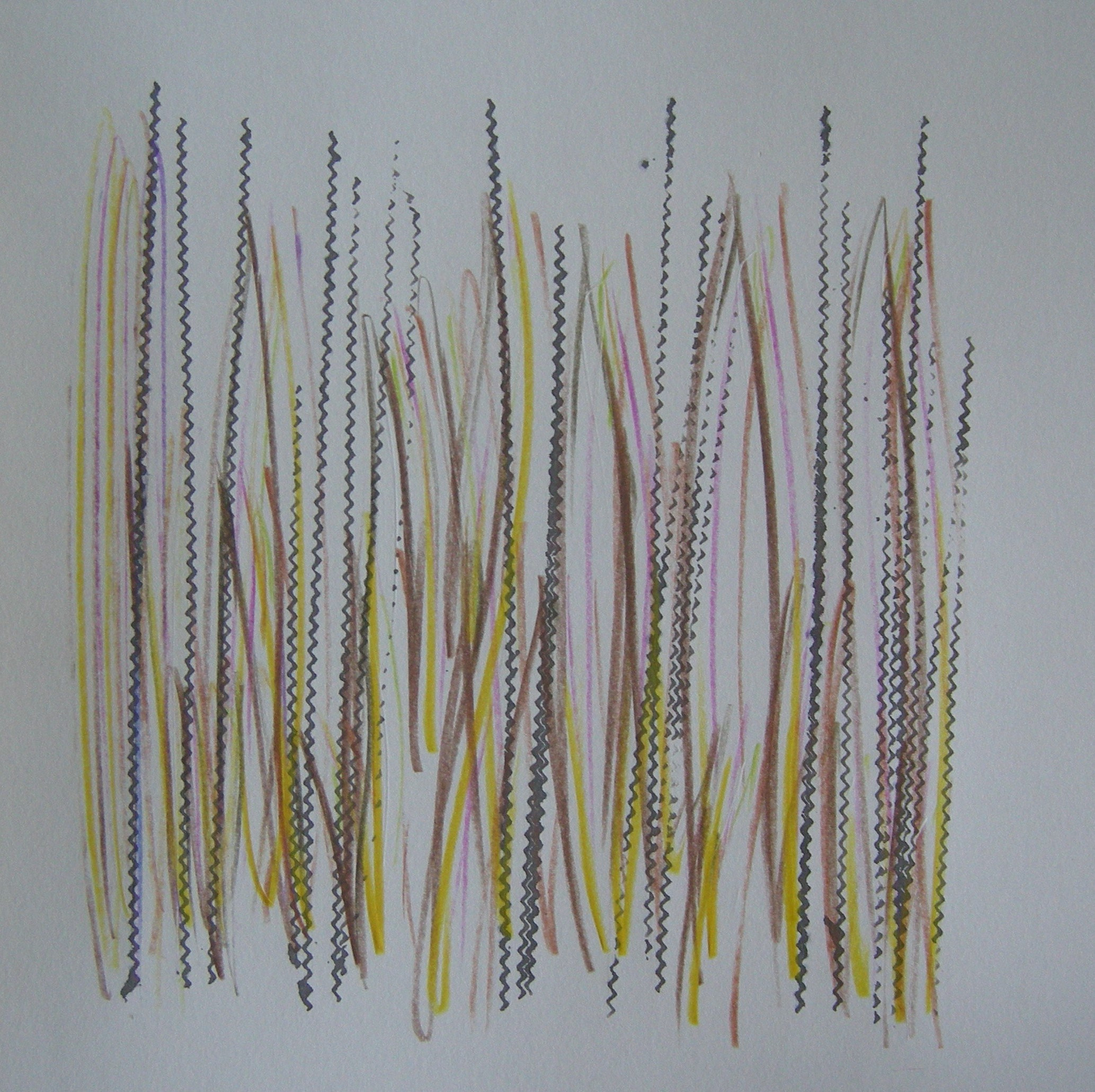O.T. 2024 - 30x30