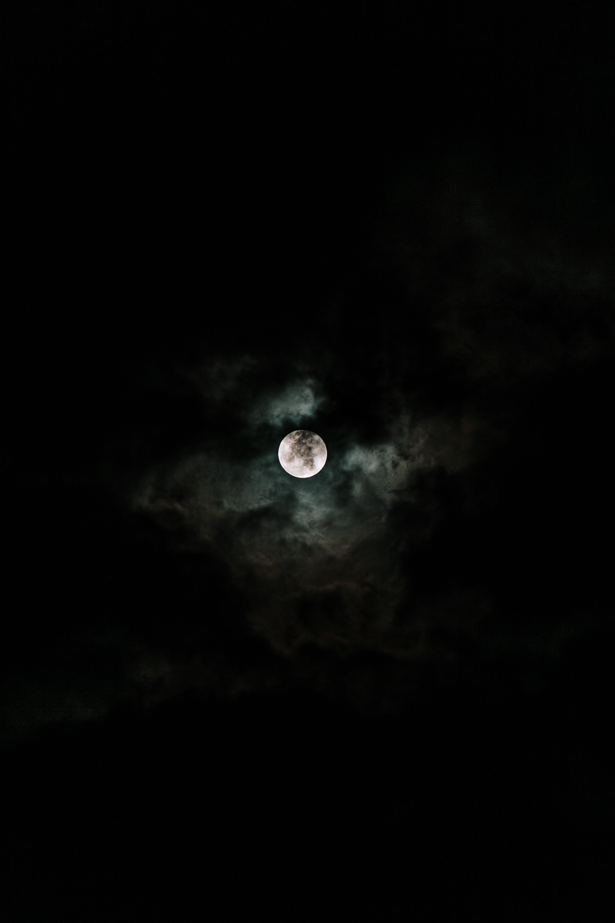 Între noi e dragoste. Servicii Foto Video în Chișinău și Europa ID-Brothers