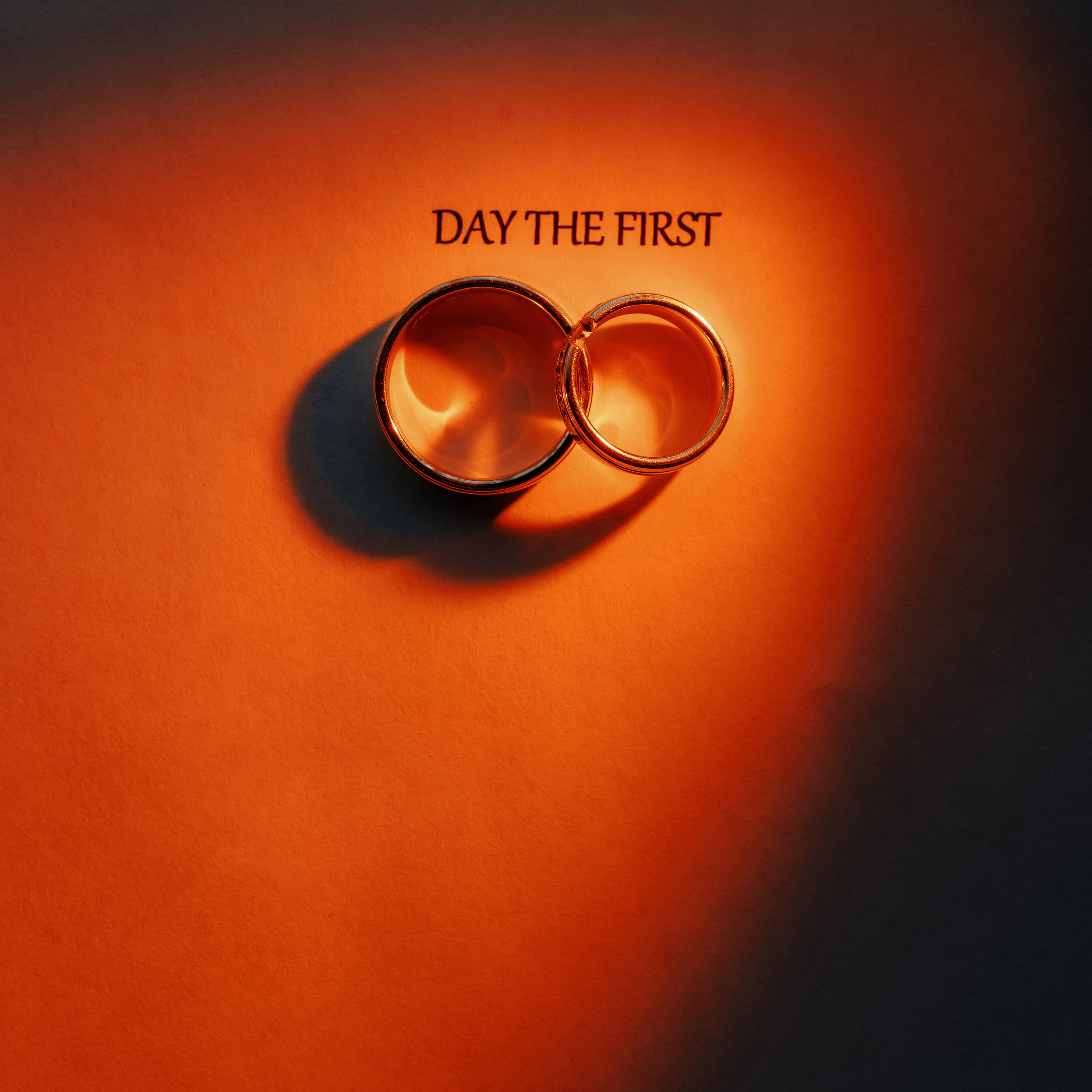 Între noi e dragoste. Servicii Foto Video în Chișinău și Europa ID-Brothers