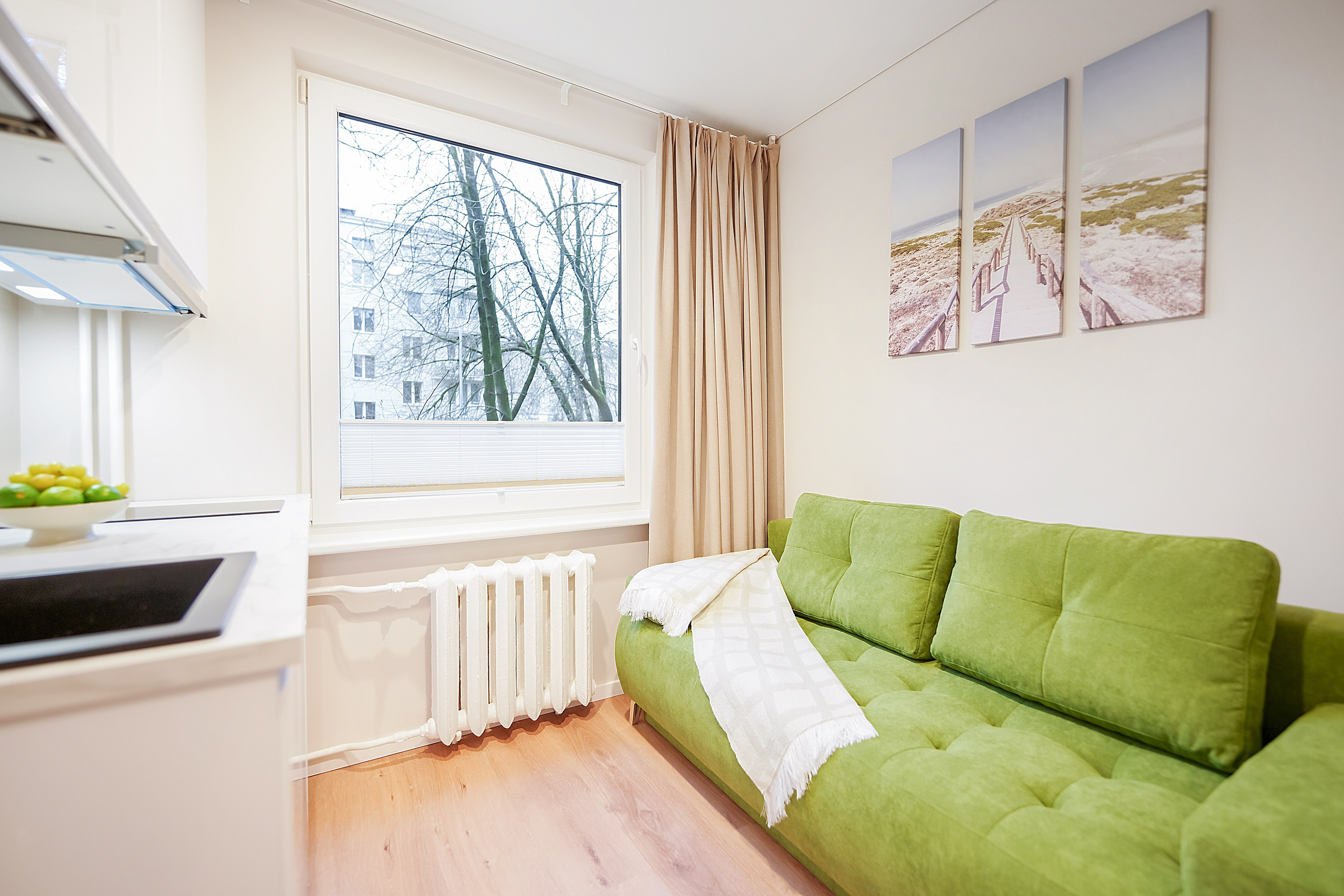 Birželio g. 9. Elina Sapiega fotografė Vilniuje