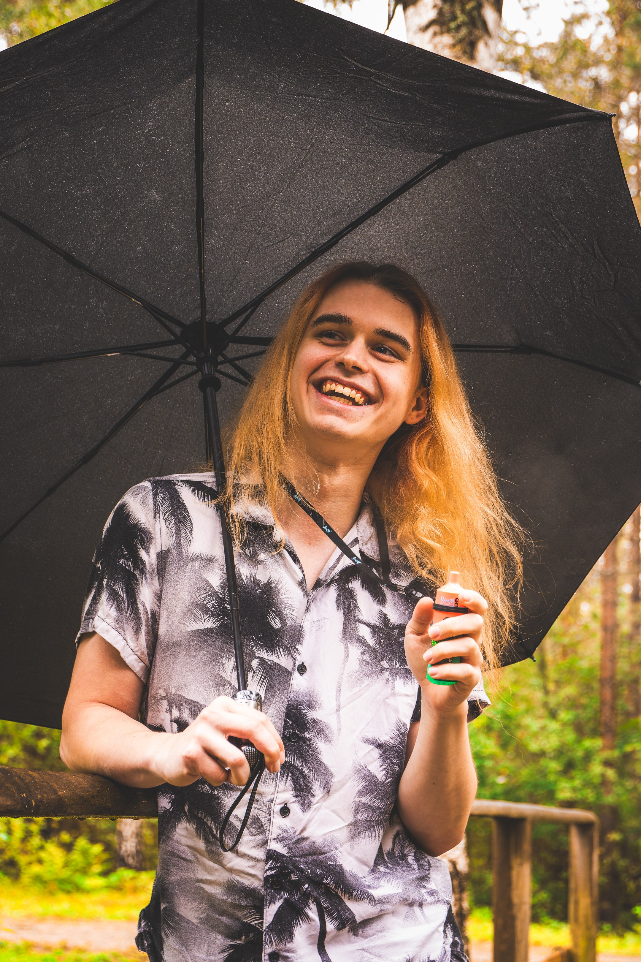 Mets, vihm ja jahedus (Dimitry). Nebula 25 — Fotod teie hingele