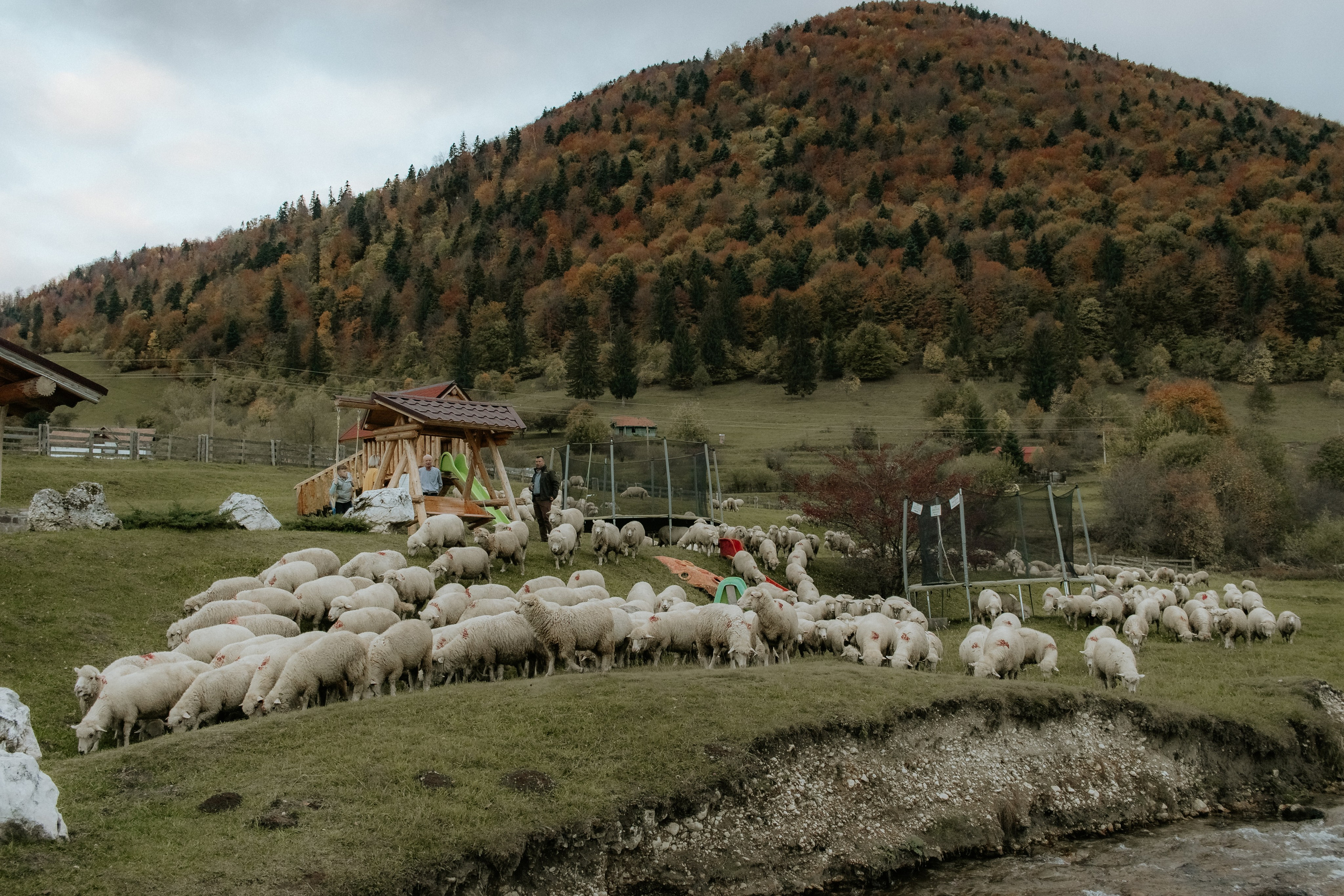 Razvan. Fotograf si videograf — evenimente si studio