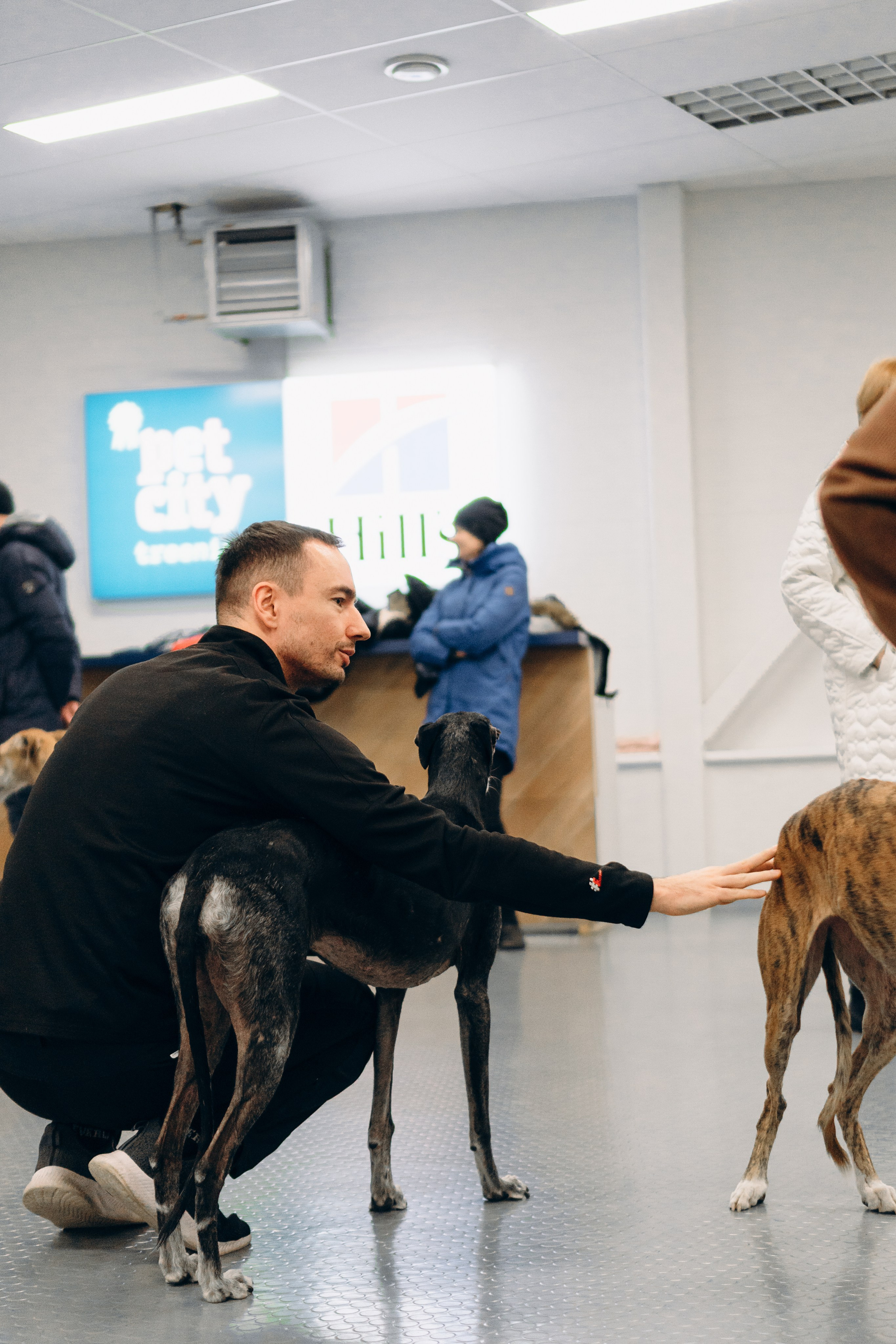 GalgoTreff / PetCity Rannamõisa, 13 apr. 2025. Kat Laisaar — Pet photographer in Tallinn