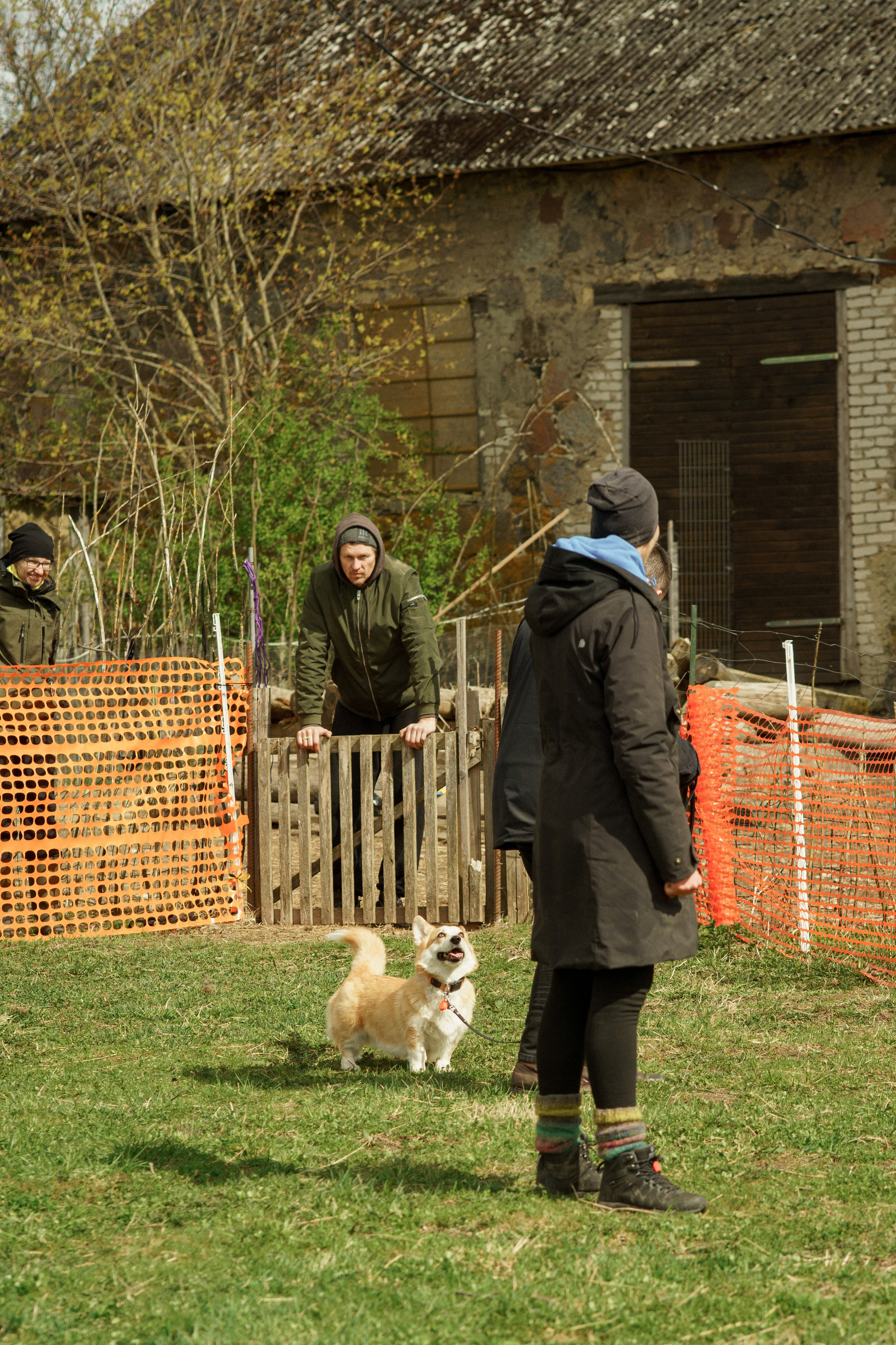 Herding Days, 26 apr. 2025. Kat Laisaar — Pet photographer in Tallinn
