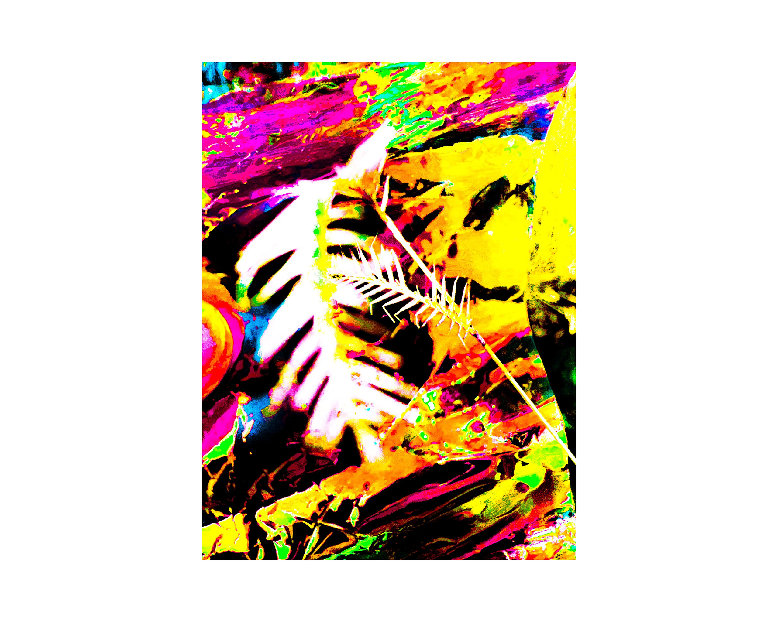 Nature from Exaggerated Worlds. Ekaterina Tsurkina-Appina Photography Canada