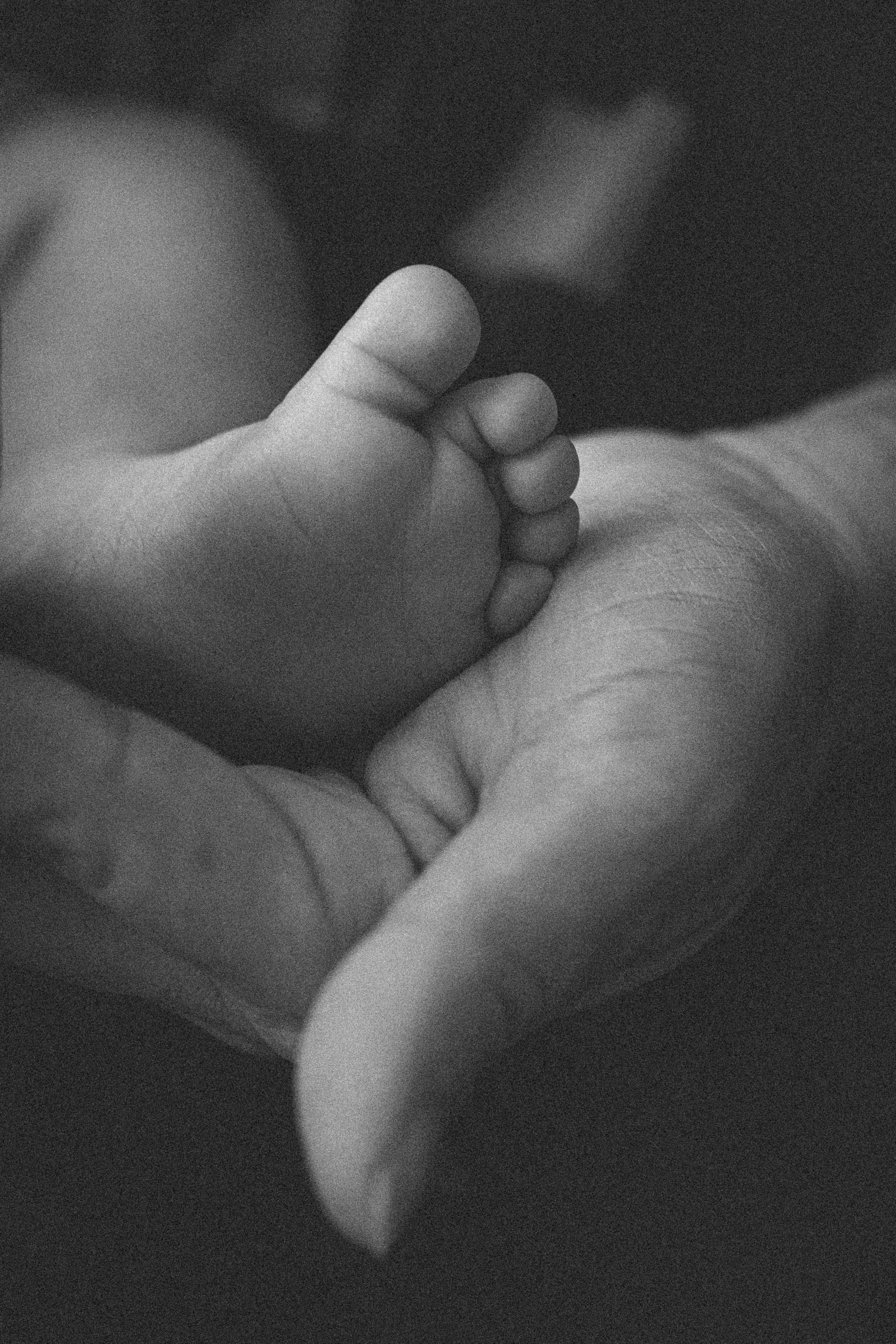 Sesje noworodkowe. Ania Smol Fotograf Olsztyn