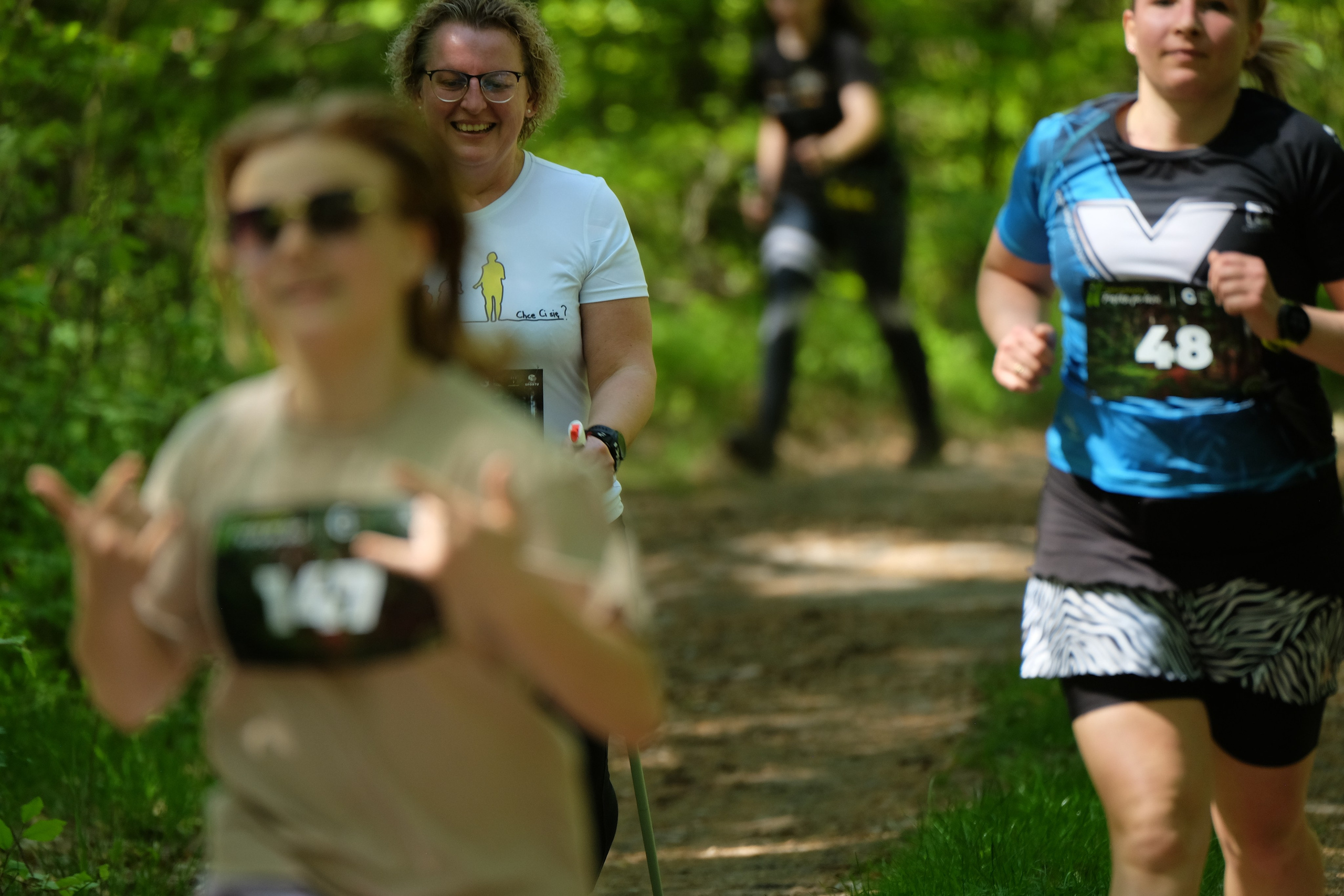 Aleksandryjska Piątka po lesie. Main