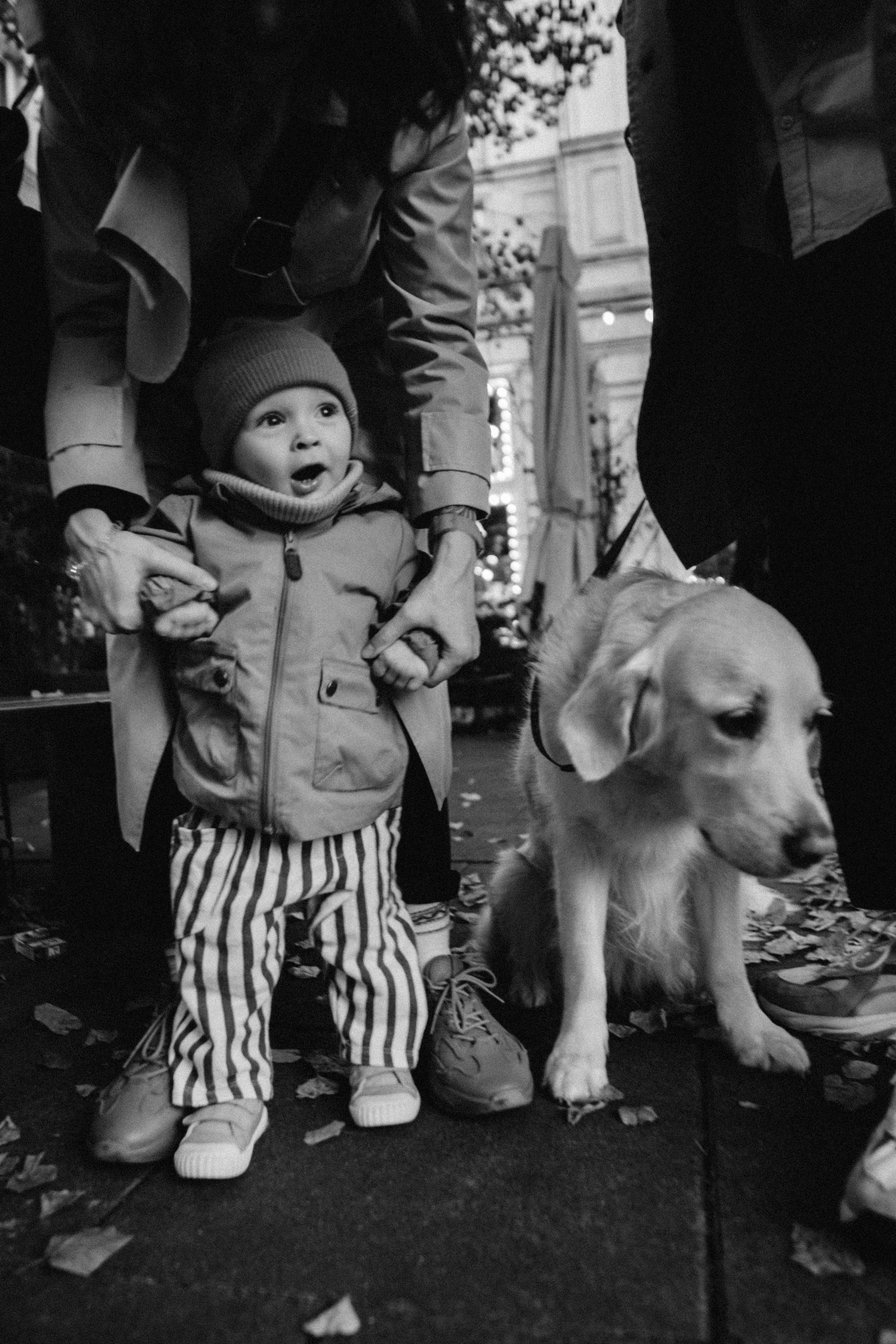 Our warsaw. Family photographer in Warsaw Sasha Zenzina