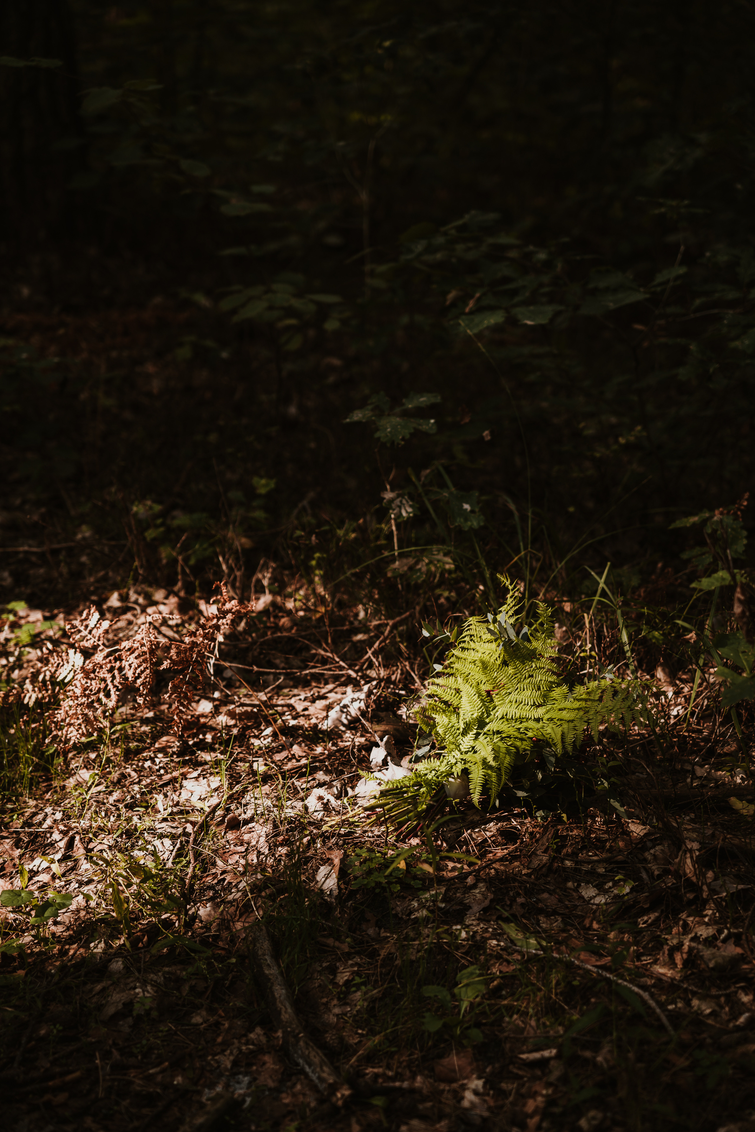 Plener ślubny Kasi i Łukasza. Michał Kaźmierczyk - Fotograf