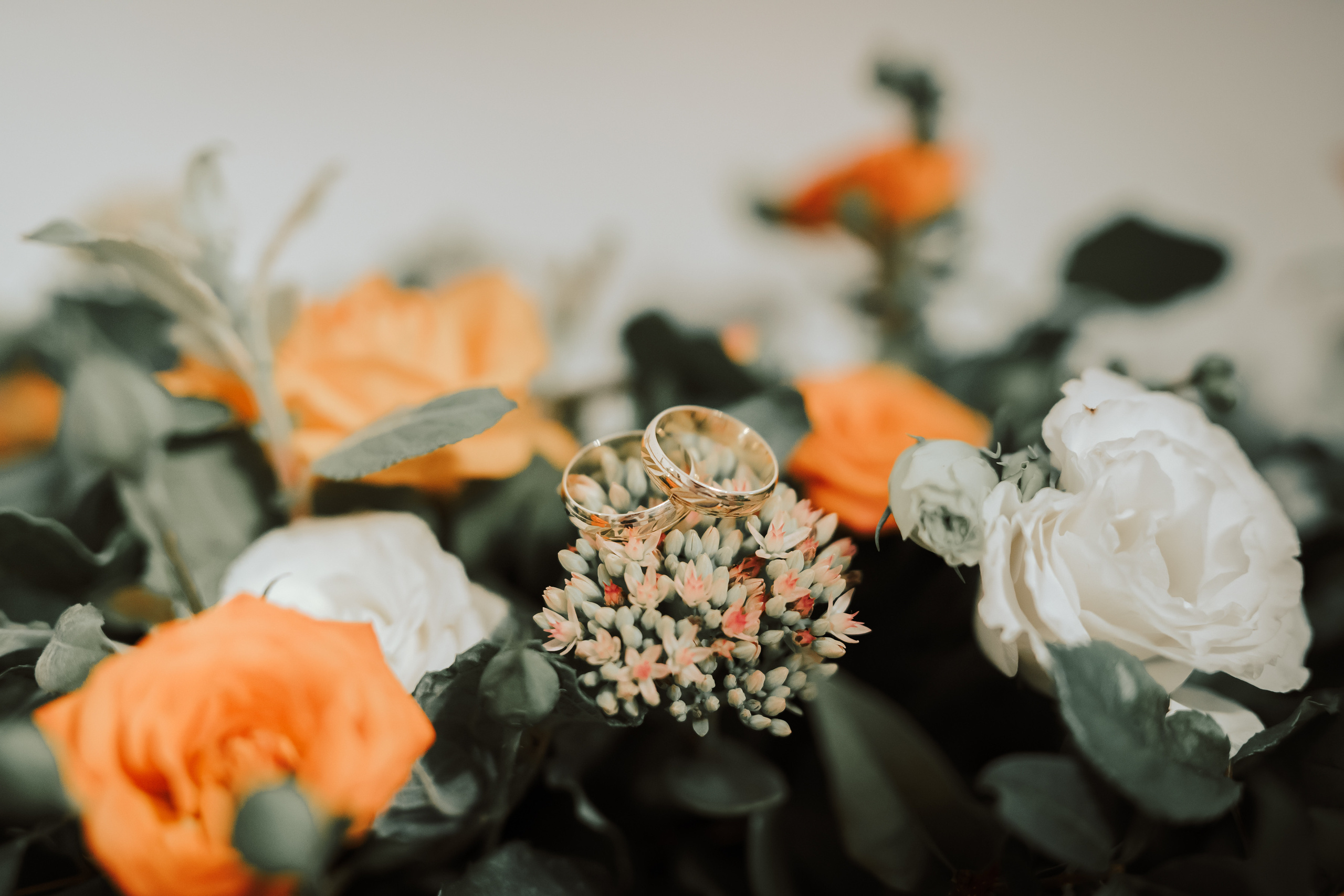 Wiktoria&Bartek. Michał Kaźmierczyk - Fotograf