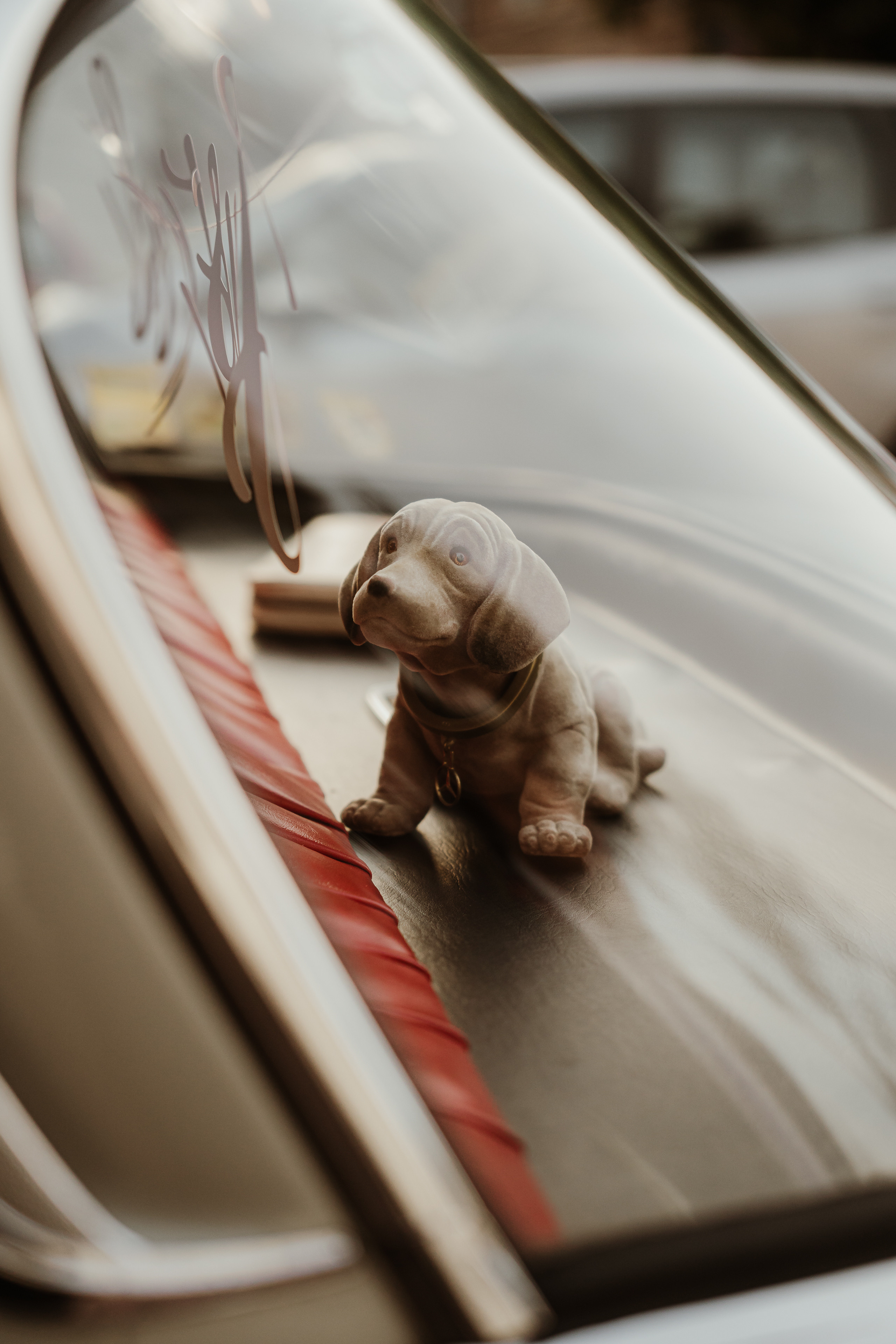 Katarzyna&Łukasz. Michał Kaźmierczyk - Fotograf