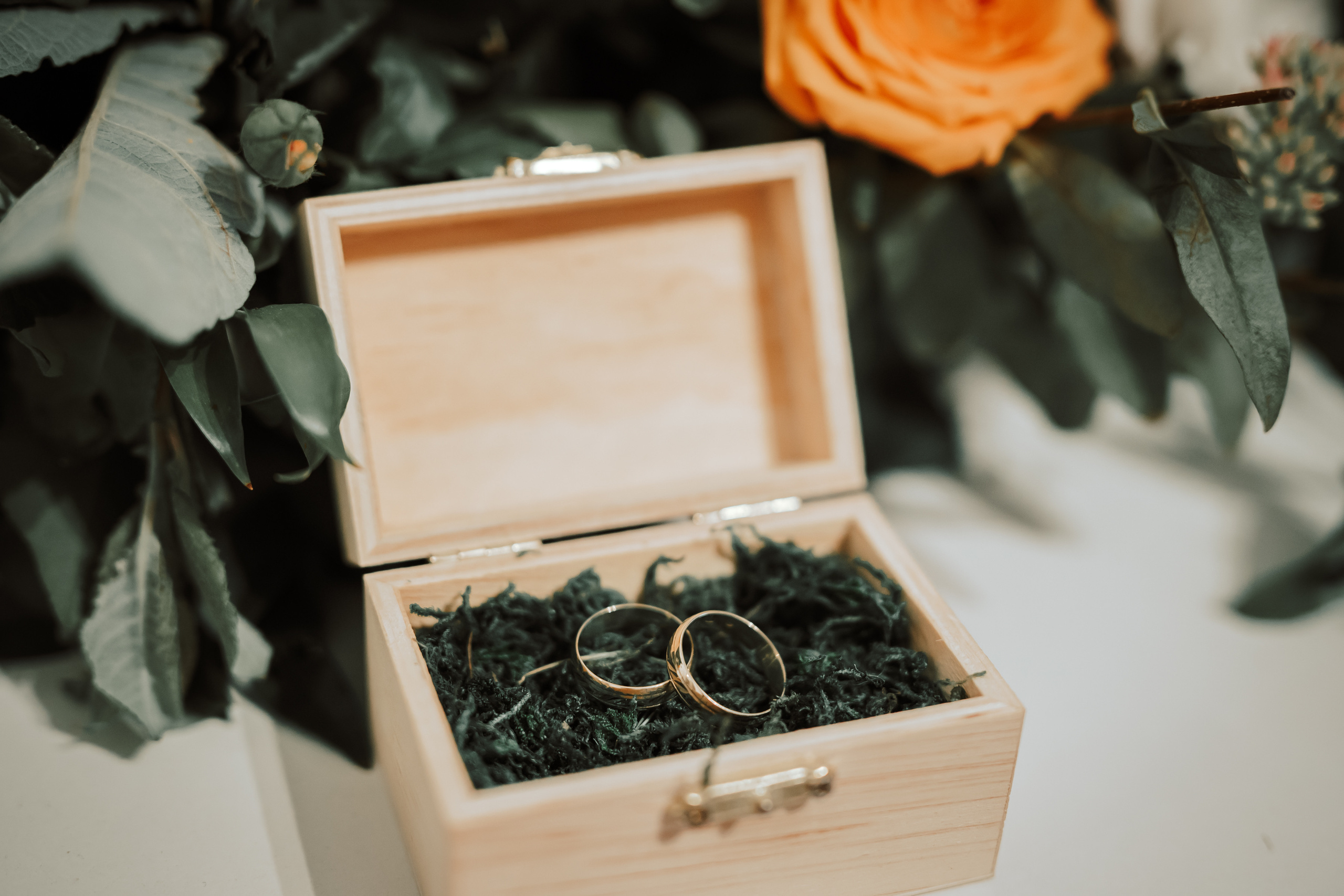 Wiktoria&Bartek. Michał Kaźmierczyk - Fotograf