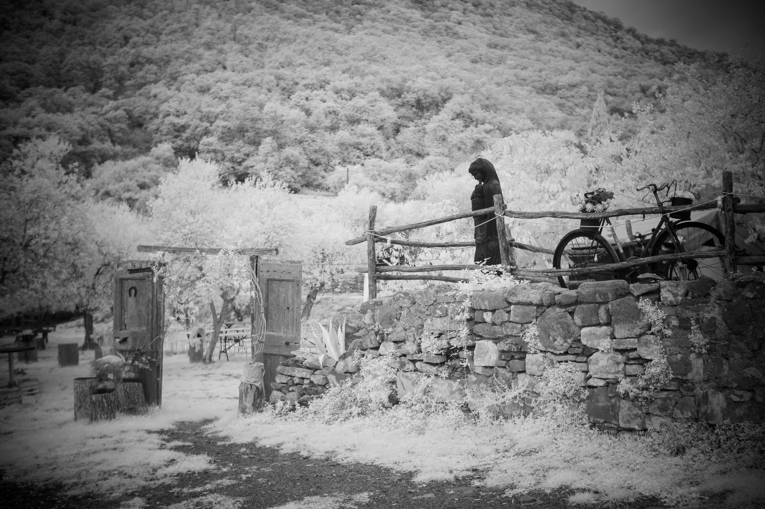 Infrarossi. Fotografia e video