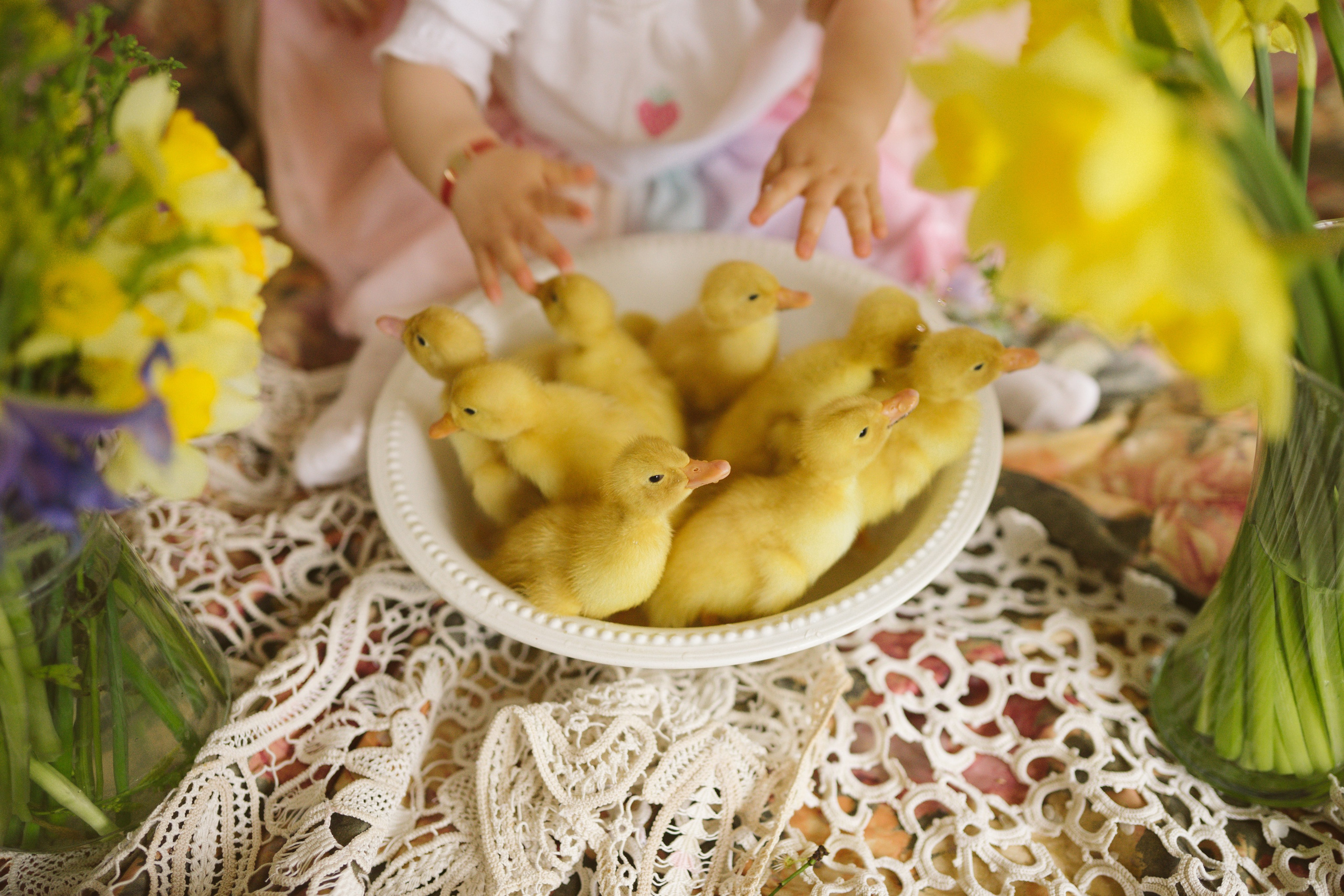 Ședințe Foto de Paște Brașov: Gălbenuș | Mădălina Beda. Madalina Beda- Artist vizual, fotograf, doula la nastere, consultant babywearing Brasov si in toata tara