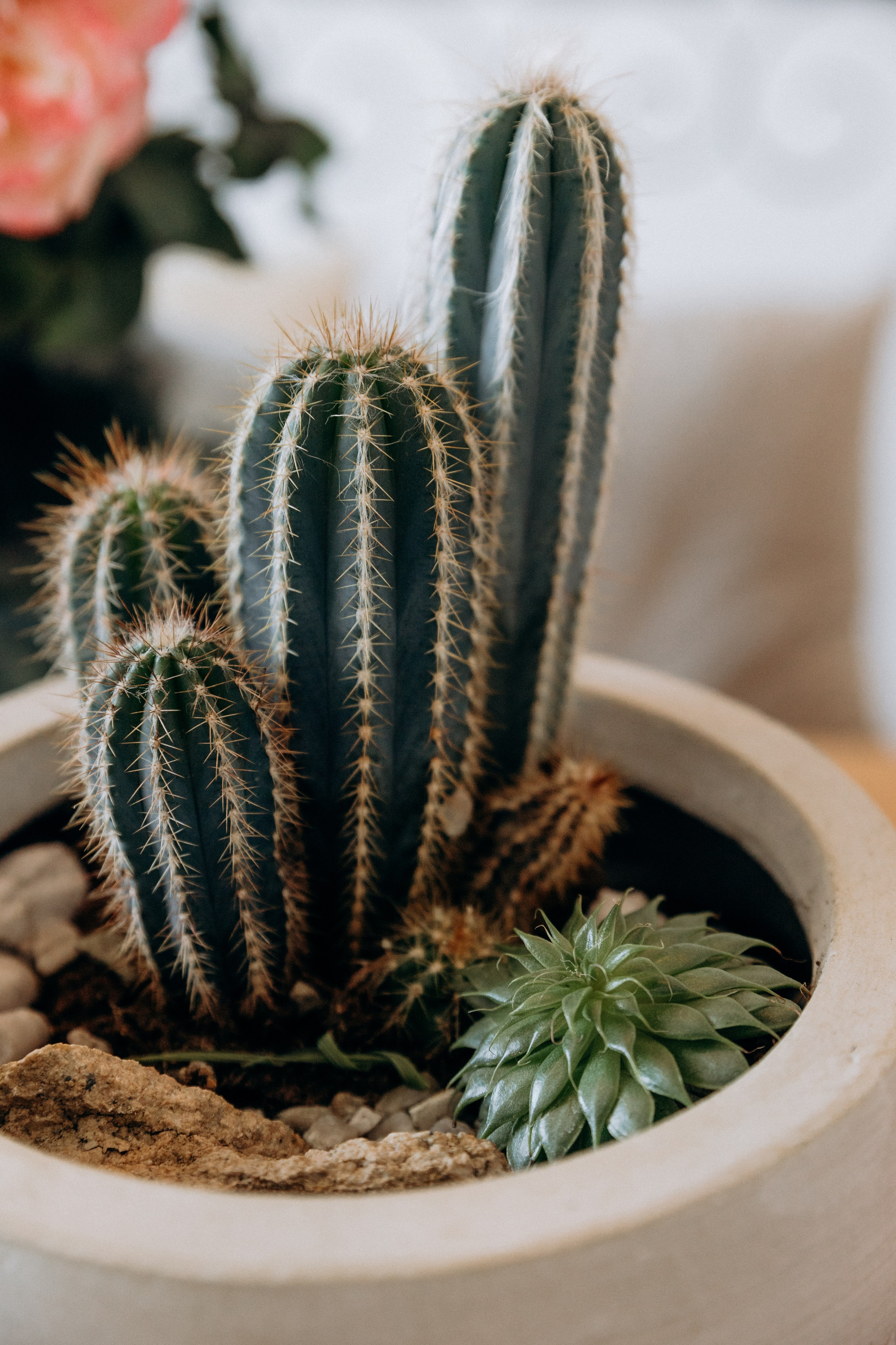 Wedding moments at Na Kmine