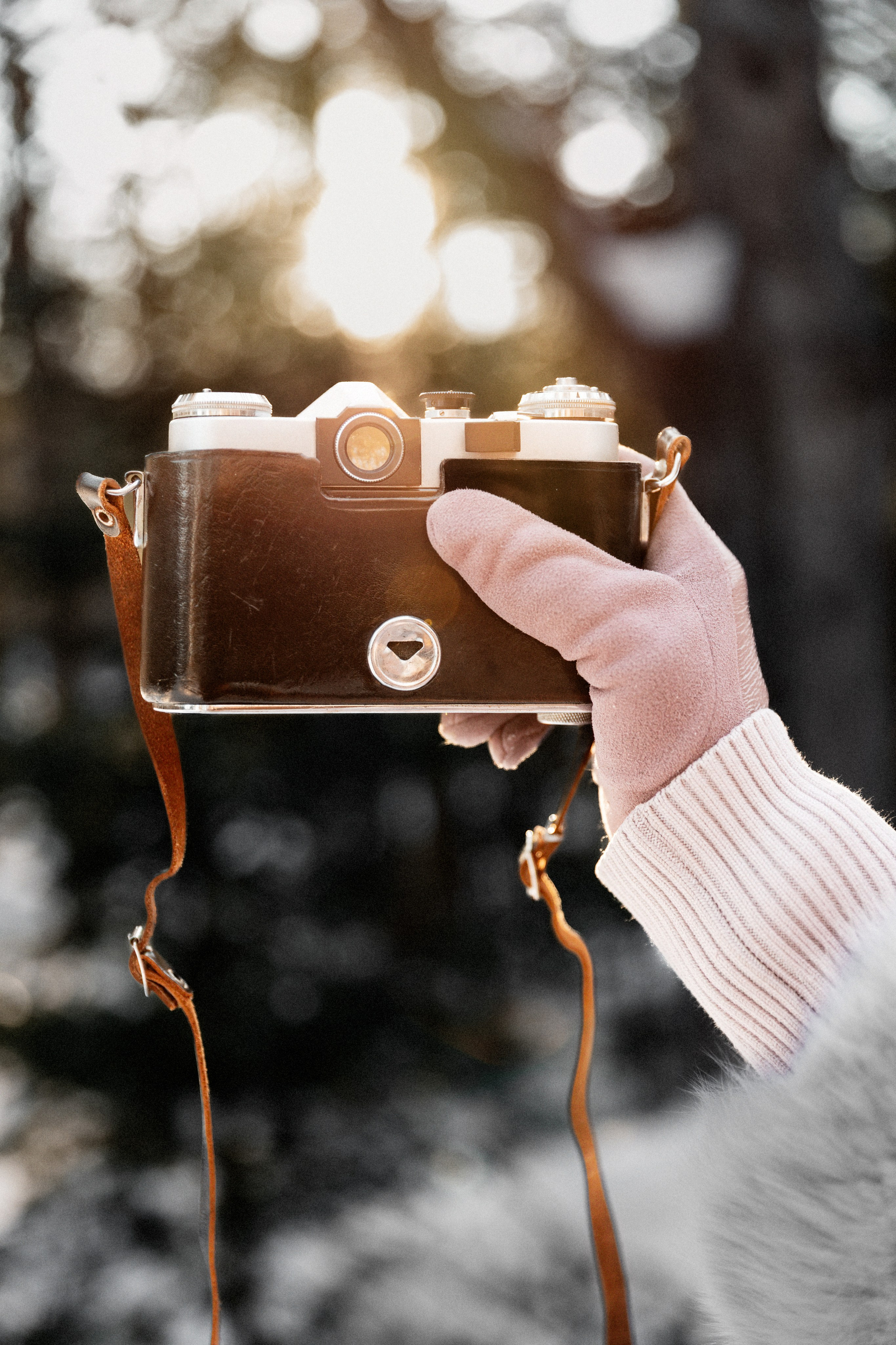 Oxana. Eugenia Guryev Photography | Portrait & Family Photographer in Moncton, New Brunswick