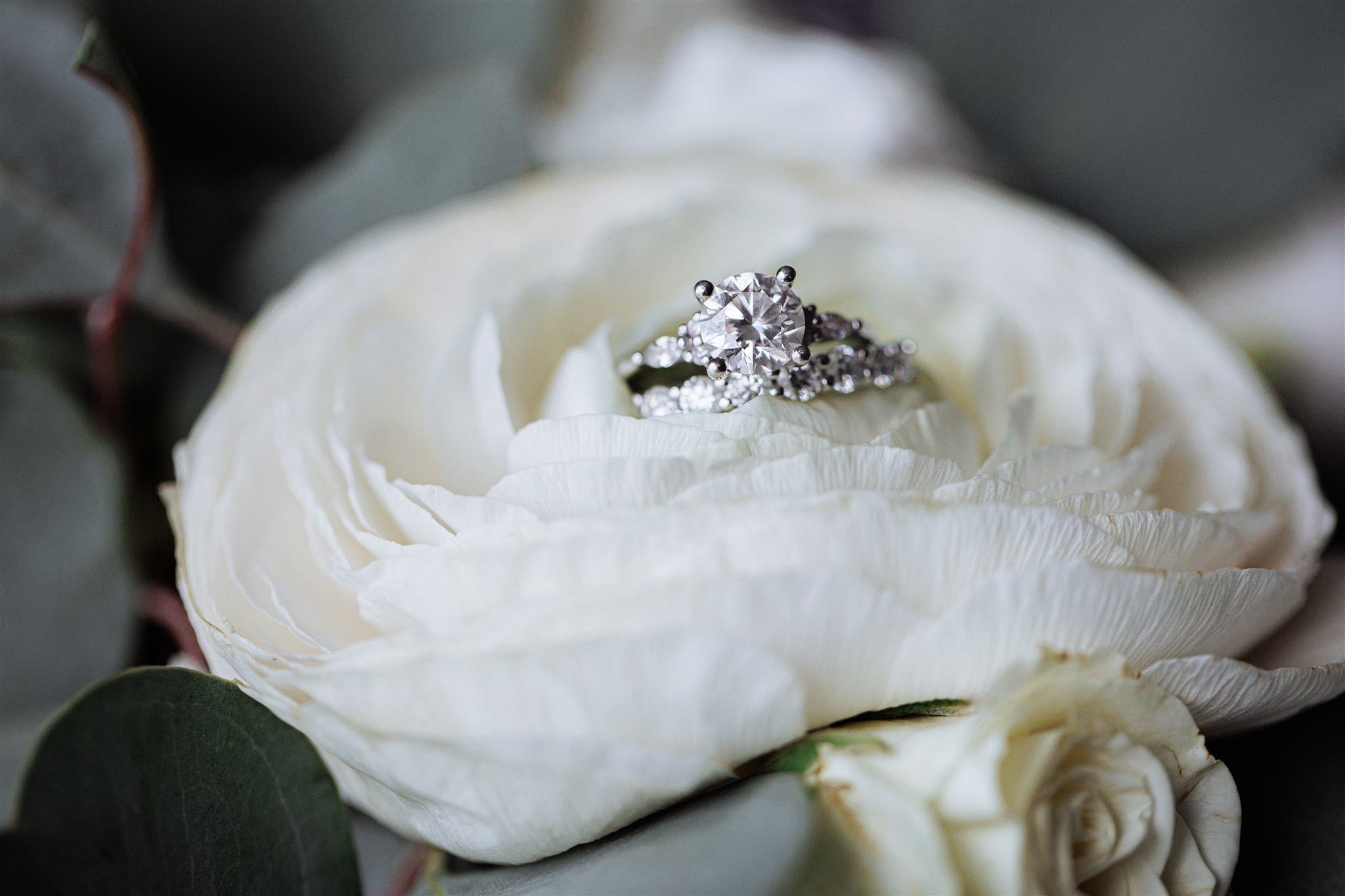 Sepideh and Greg. Luxury Wedding Photography and Cinematography