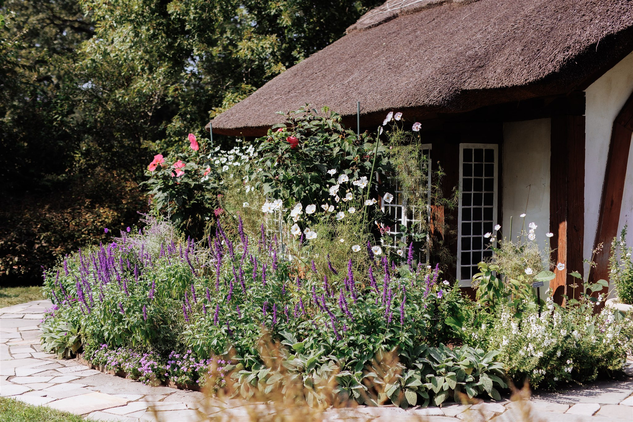 Sepideh and Greg. Luxury Wedding Photography and Cinematography