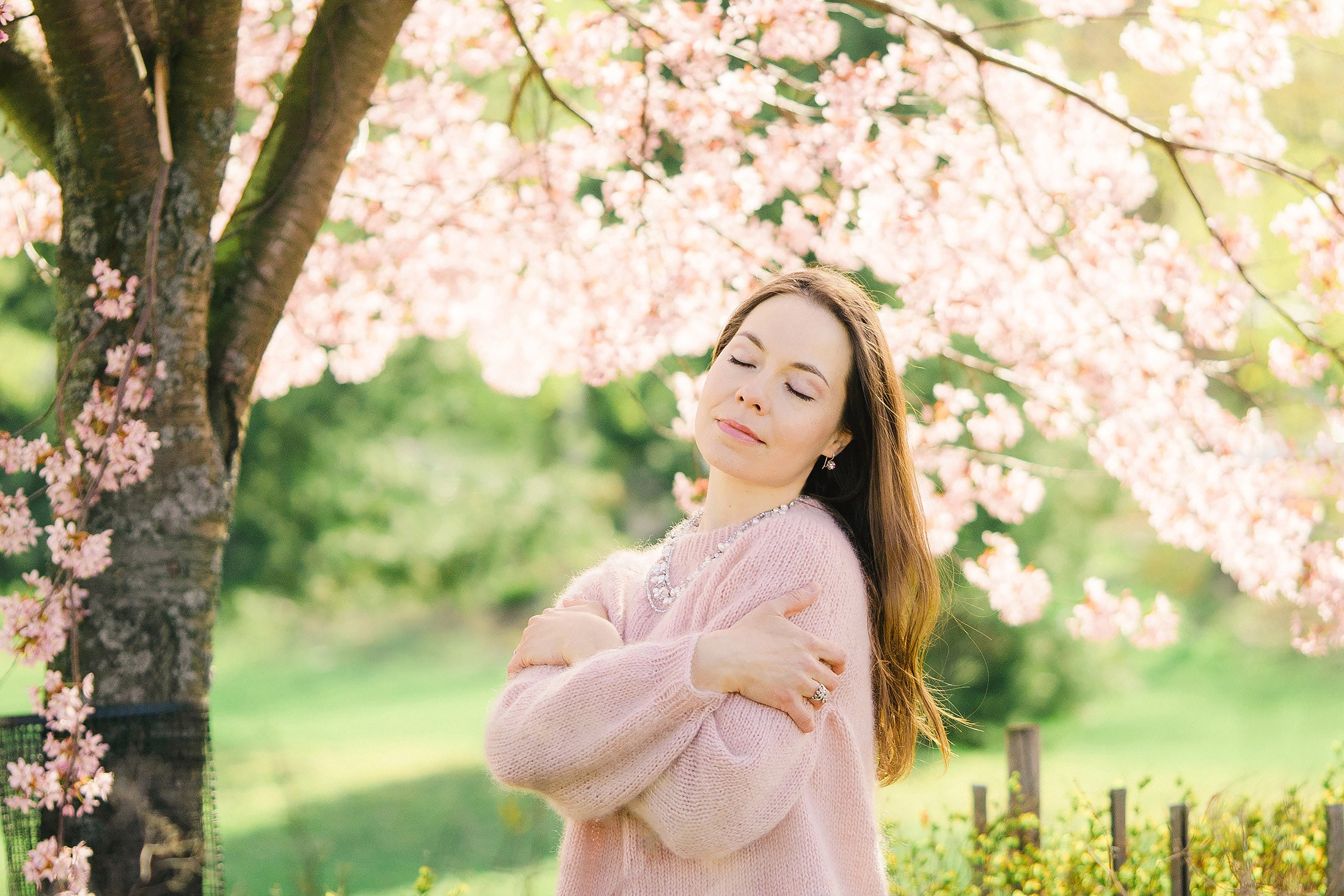 Kevään 2026 minikuvaukset (kirsikka- ja rodopuitossa, sekä omenatarhassa)