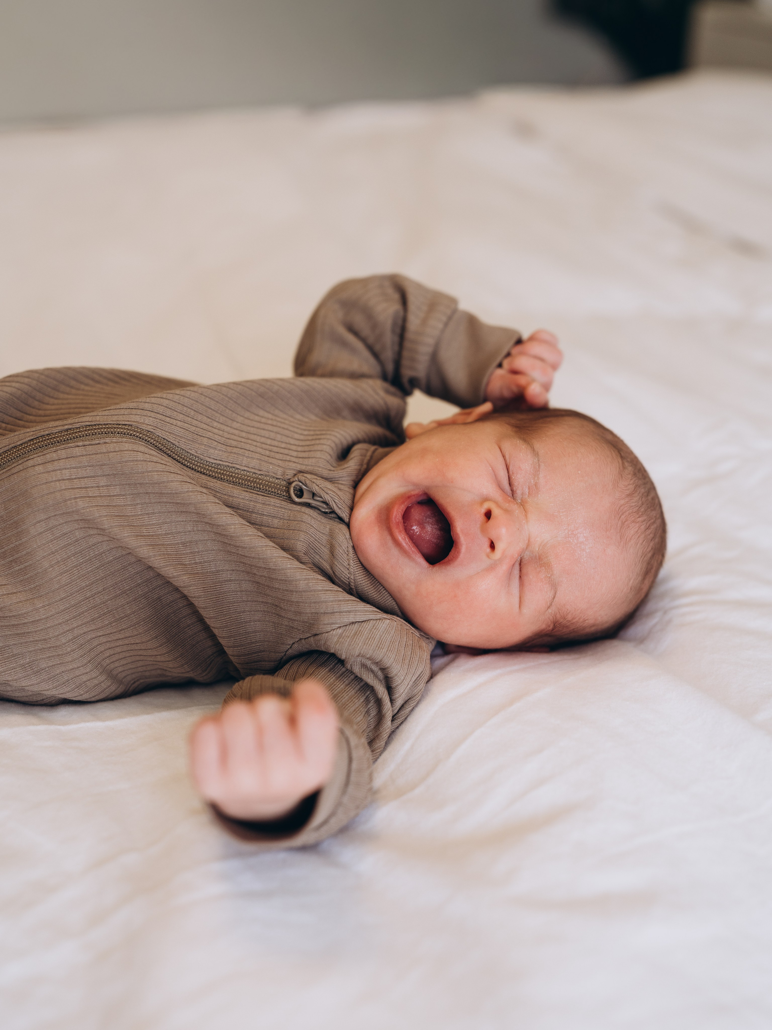 Jess & Fam #2. Calgary Wedding & Lifestyle Photographer — Yevhen Polishchuk