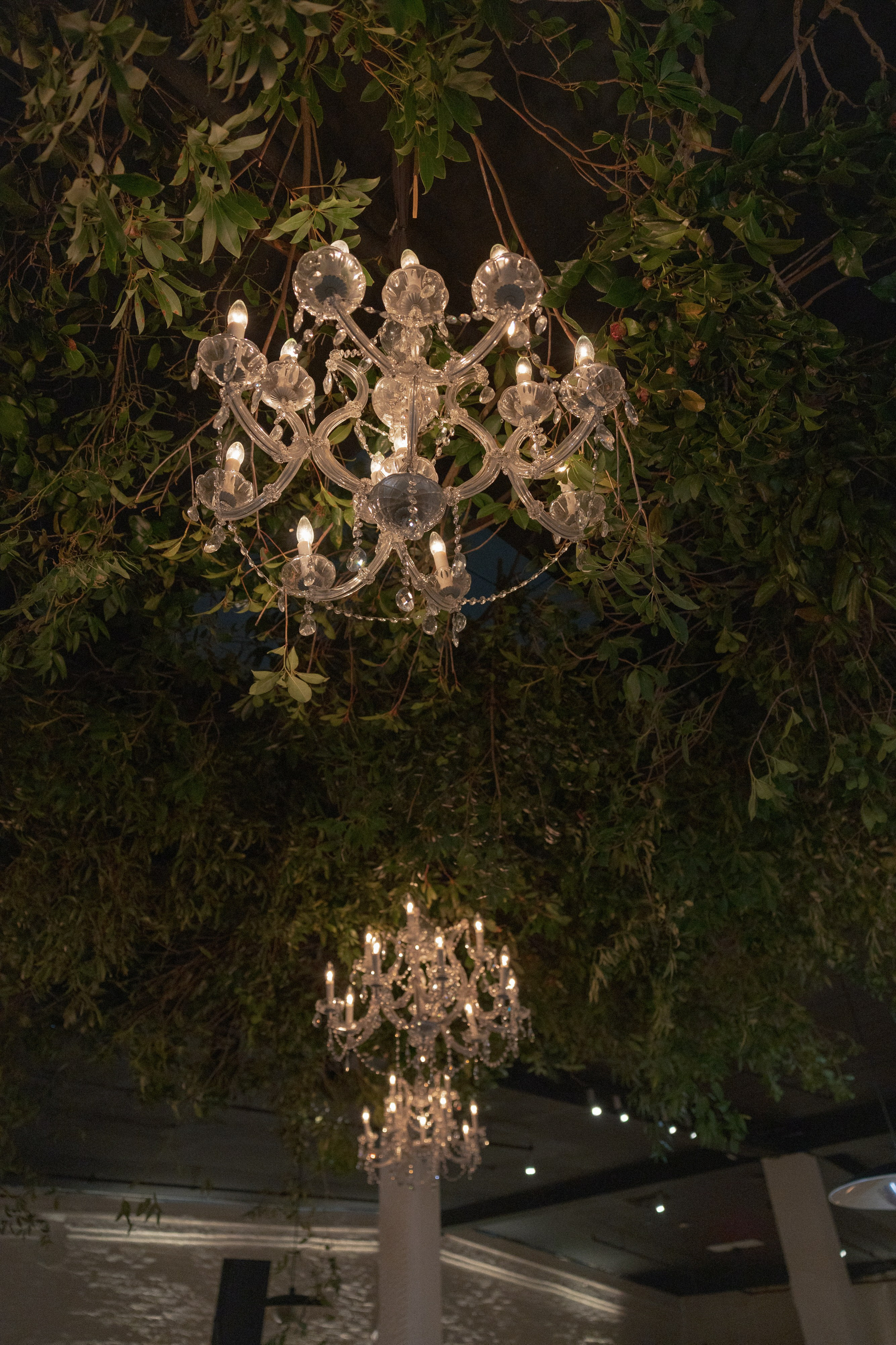 Lauren and Jonah. Wedding photographer and videographer New York | New Jersey