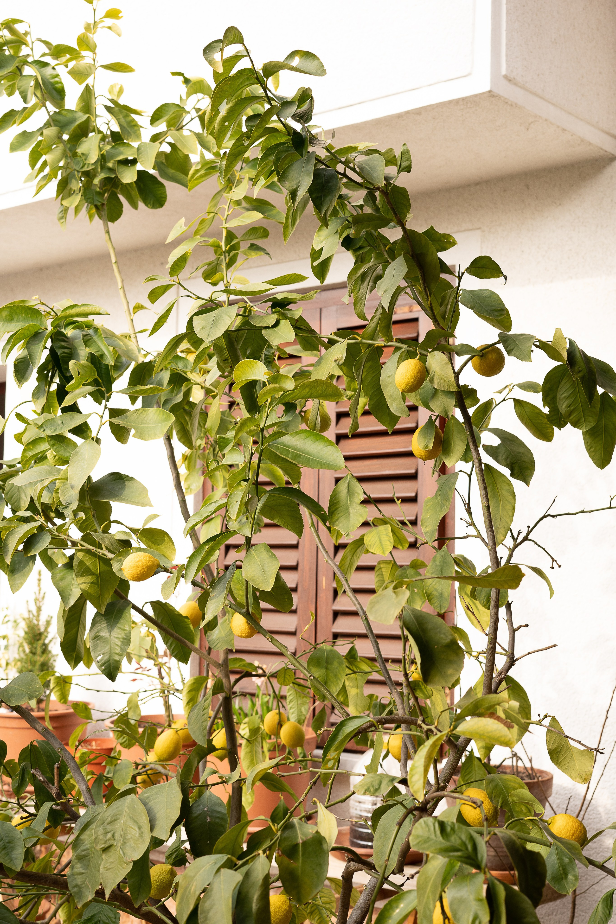 Poročna fofografija. Fotografinja in videografinja Mariia Bortiakova iz Slovenije: fotografiranje dogodkov, portretov in snemanje videov po vsej Sloveniji
