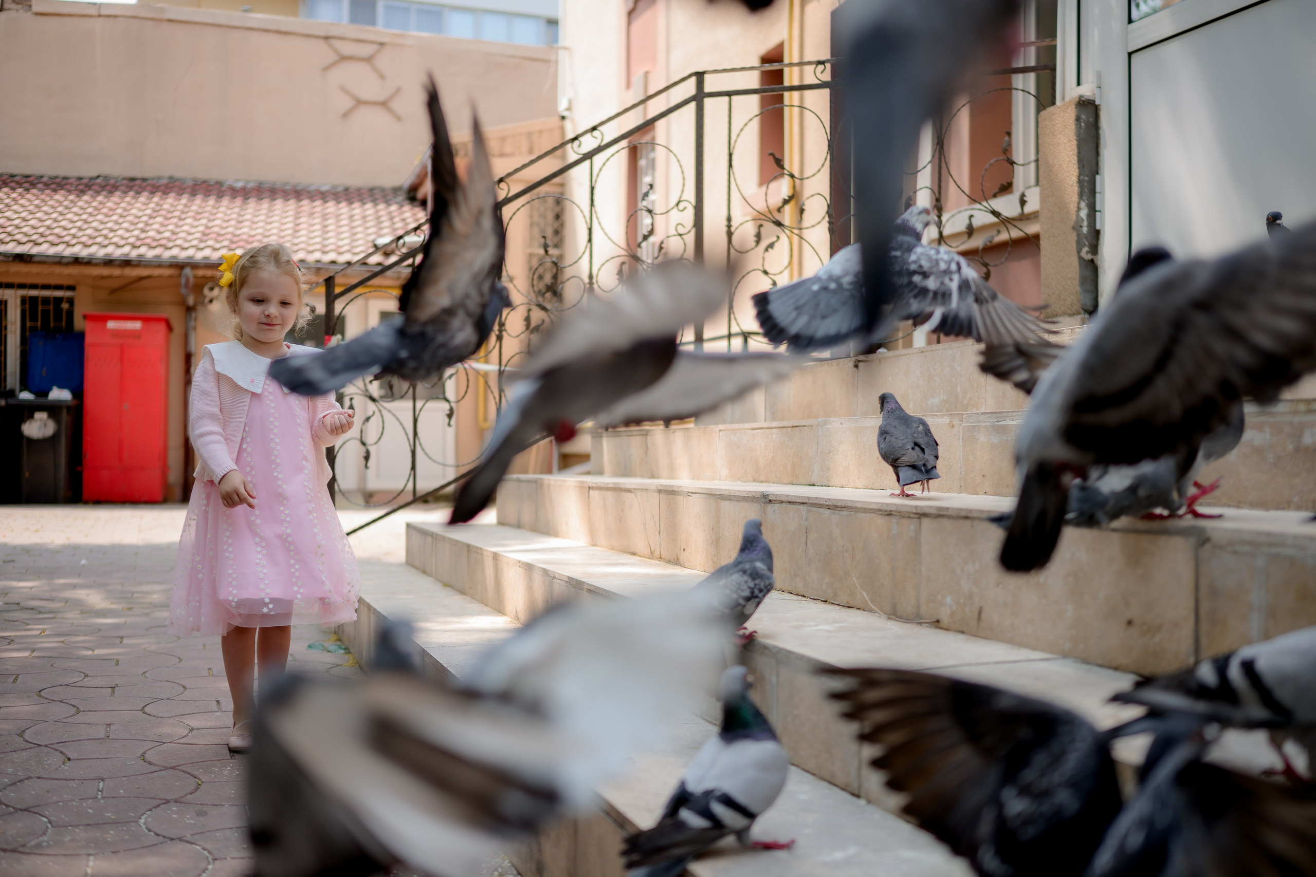 Fotografii la starea civila sector 4 – Iulia & Alexandru