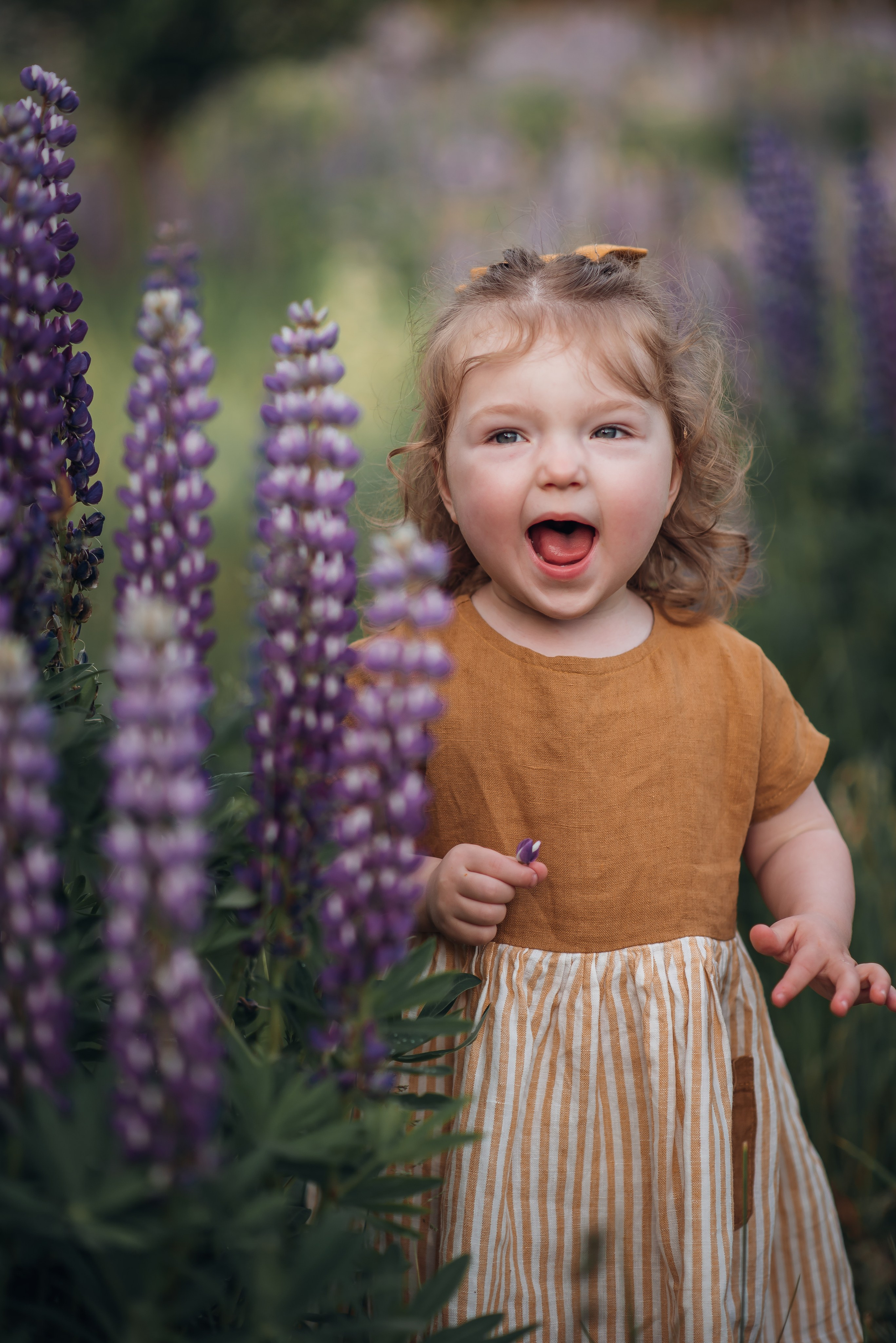 Šeima. Aukse Stravi fotografė