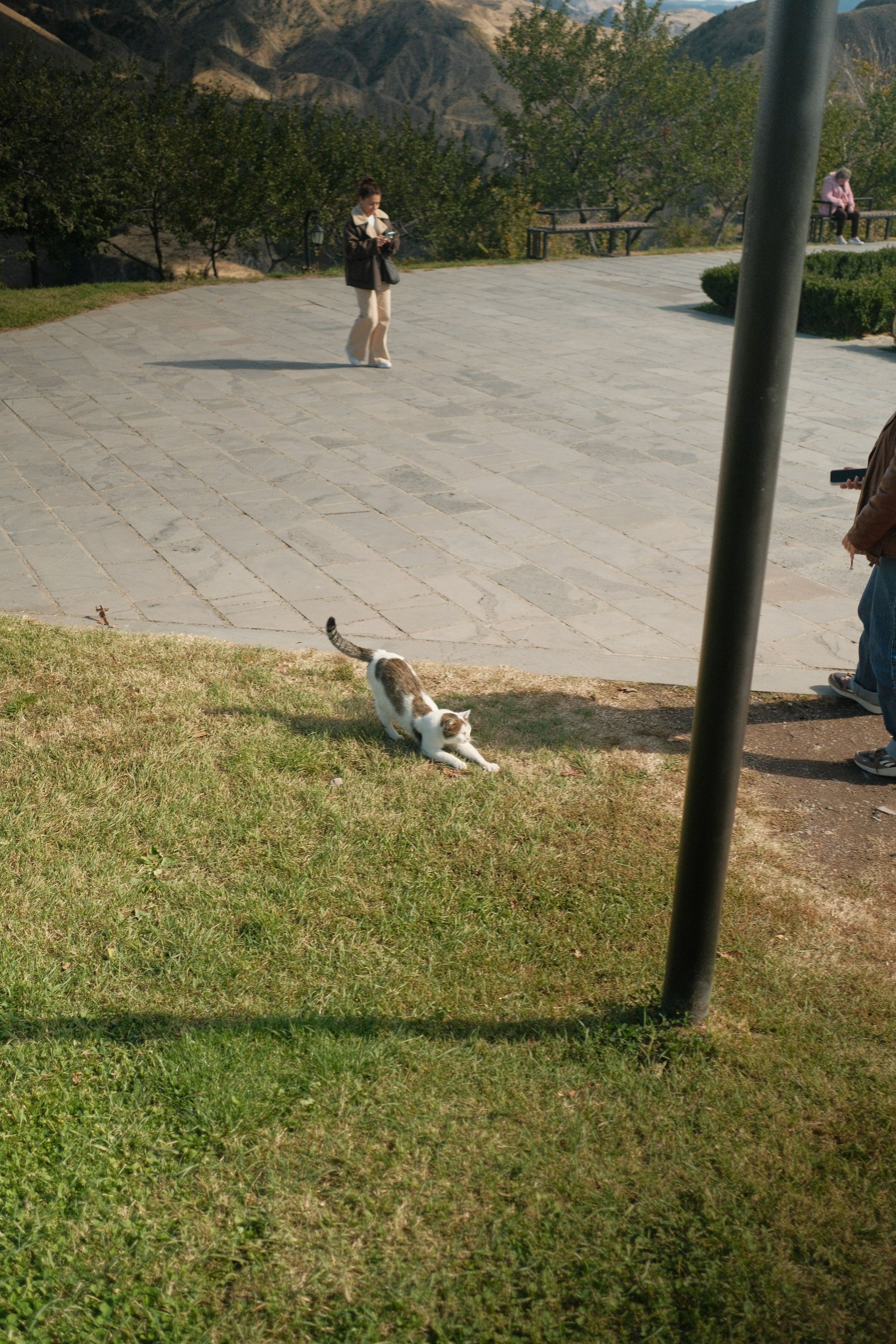 Armenia. Portrait and Lifestyle Photographer in Vienna — Nick Pavlov