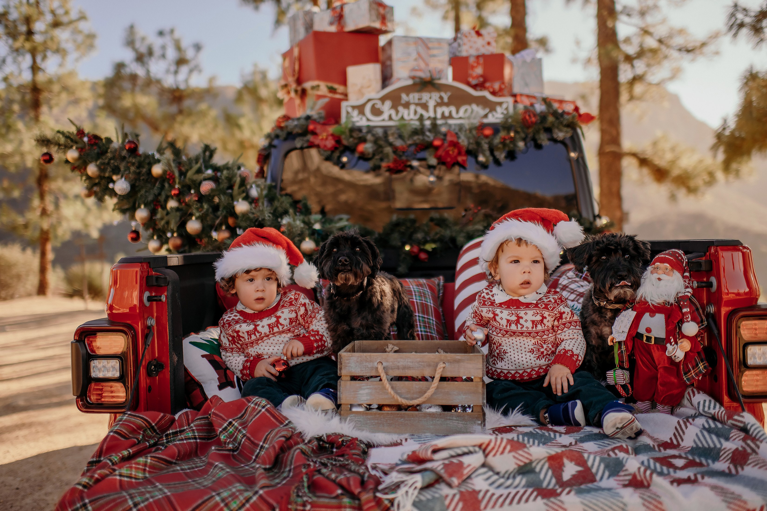 Big family. Wedding, maternity and family photographer in Charlotte Tasha Minn