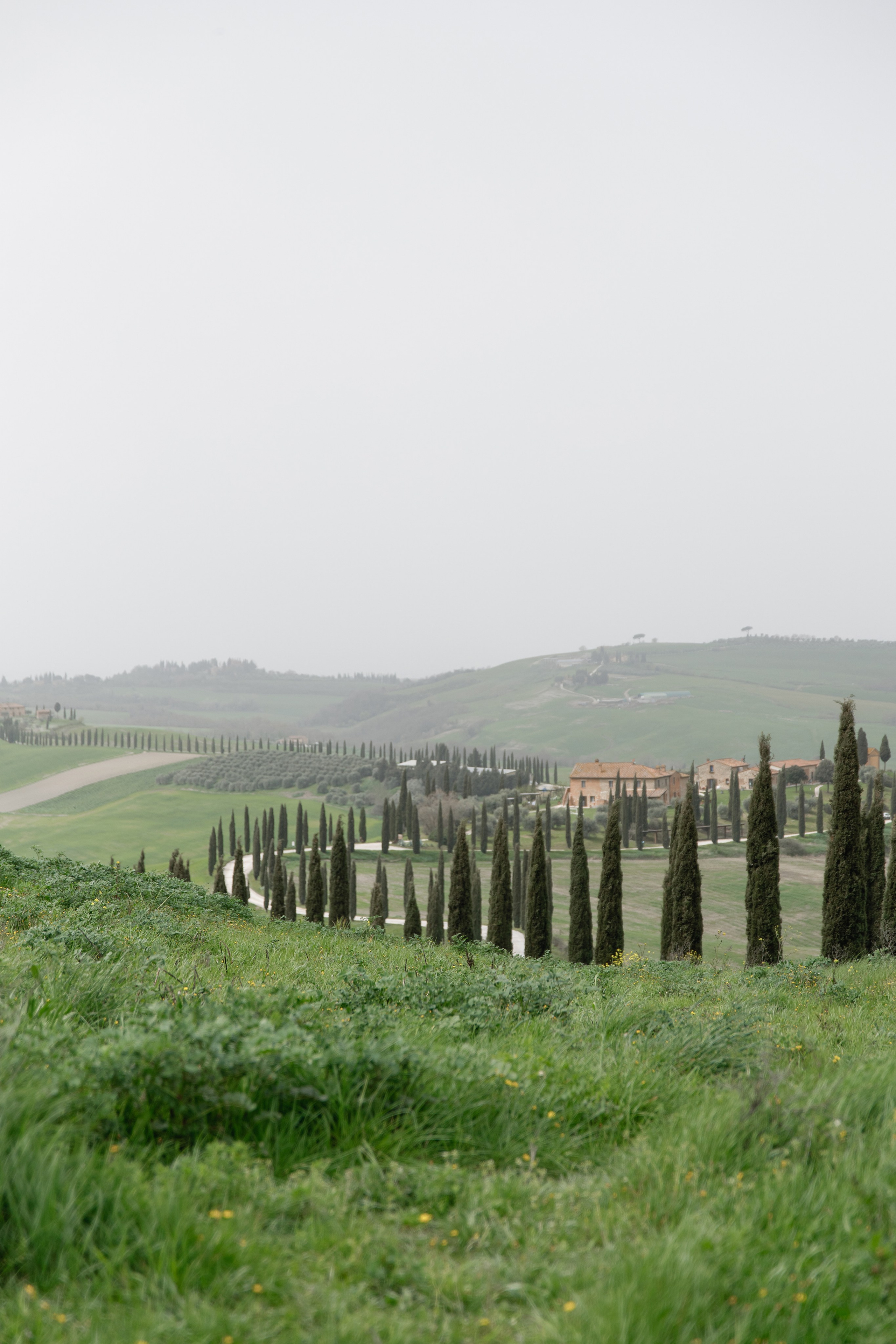 Wedding photographer Italy Rome, Tuscany, Lake Como, Sicily, Puglia. Wedding Photographer Rome Tuscany Como Sicily Puglia Amalfy Italy- Oksana Savenchuk