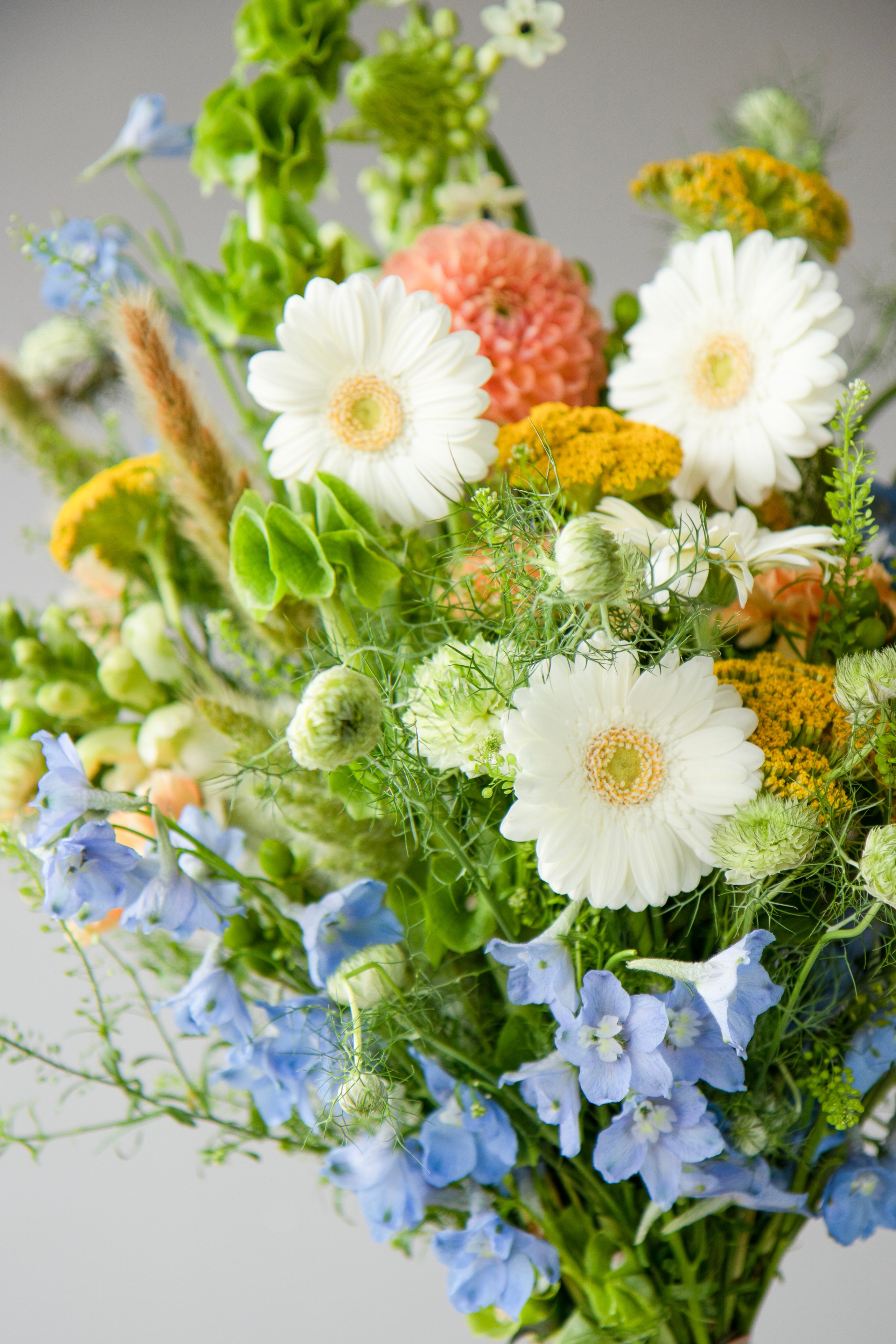 043. Palagina Ksusha, photographer in NY