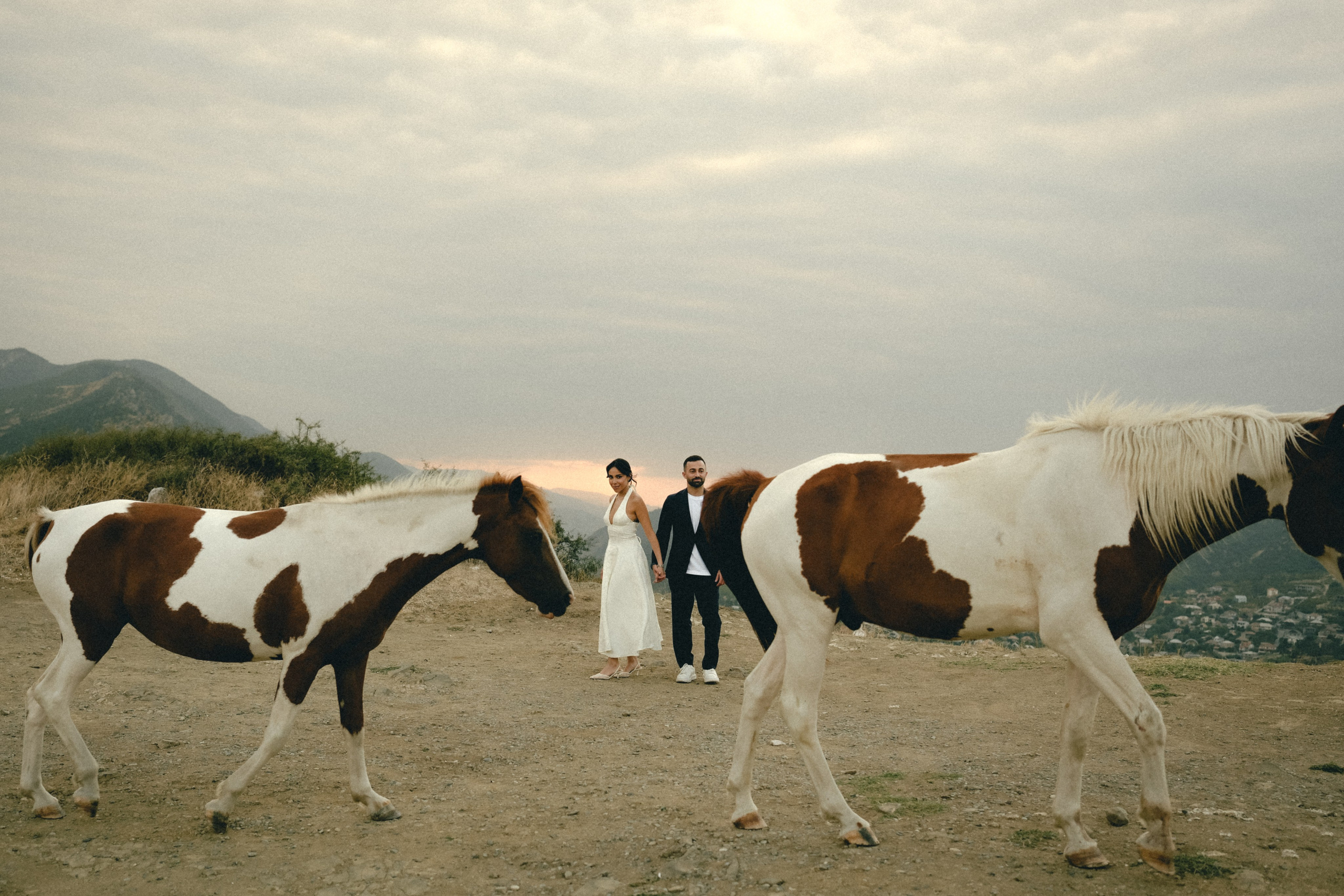 Jvari | Ahmad & Paola. Главная