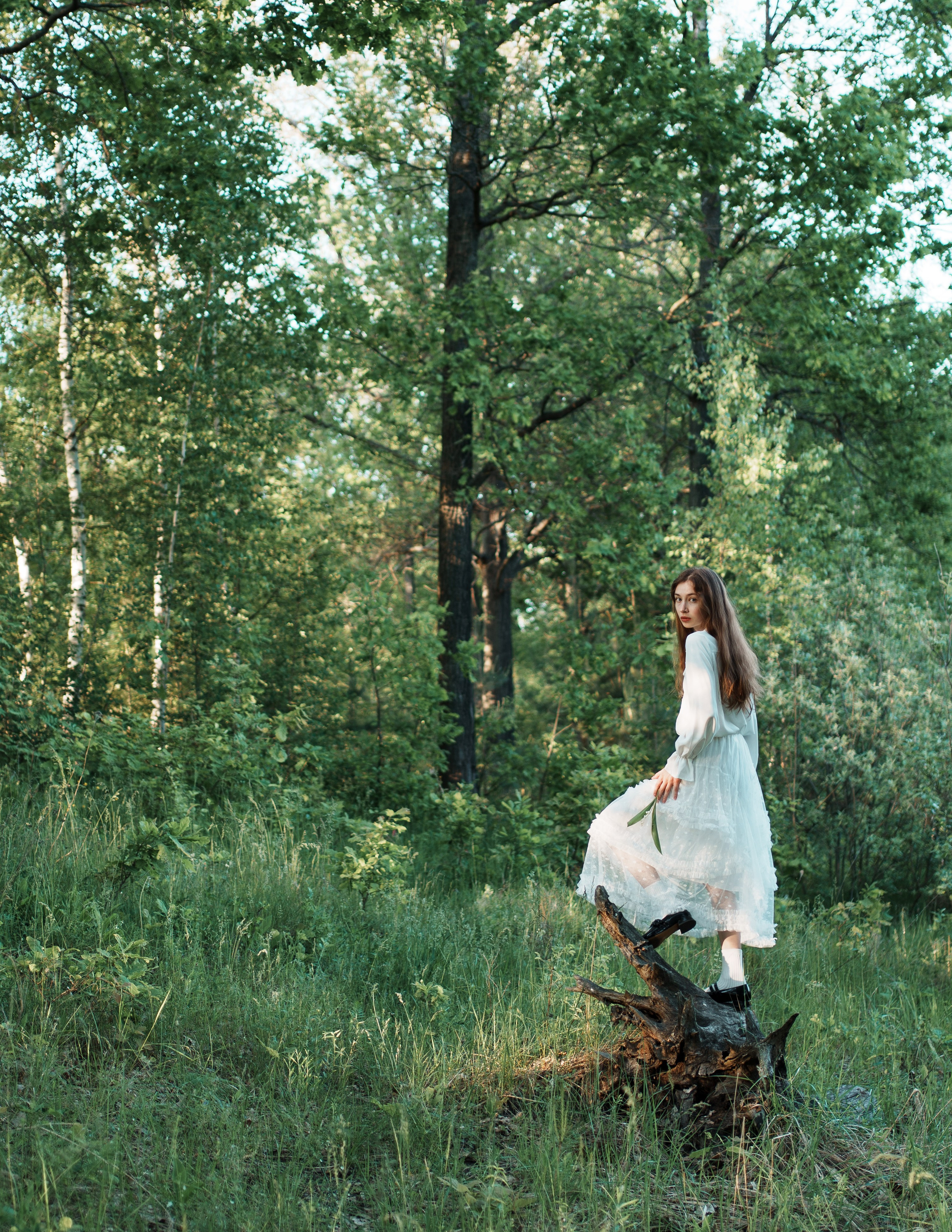Forest. Alisha Geva женский портретный фотограф в Дубае