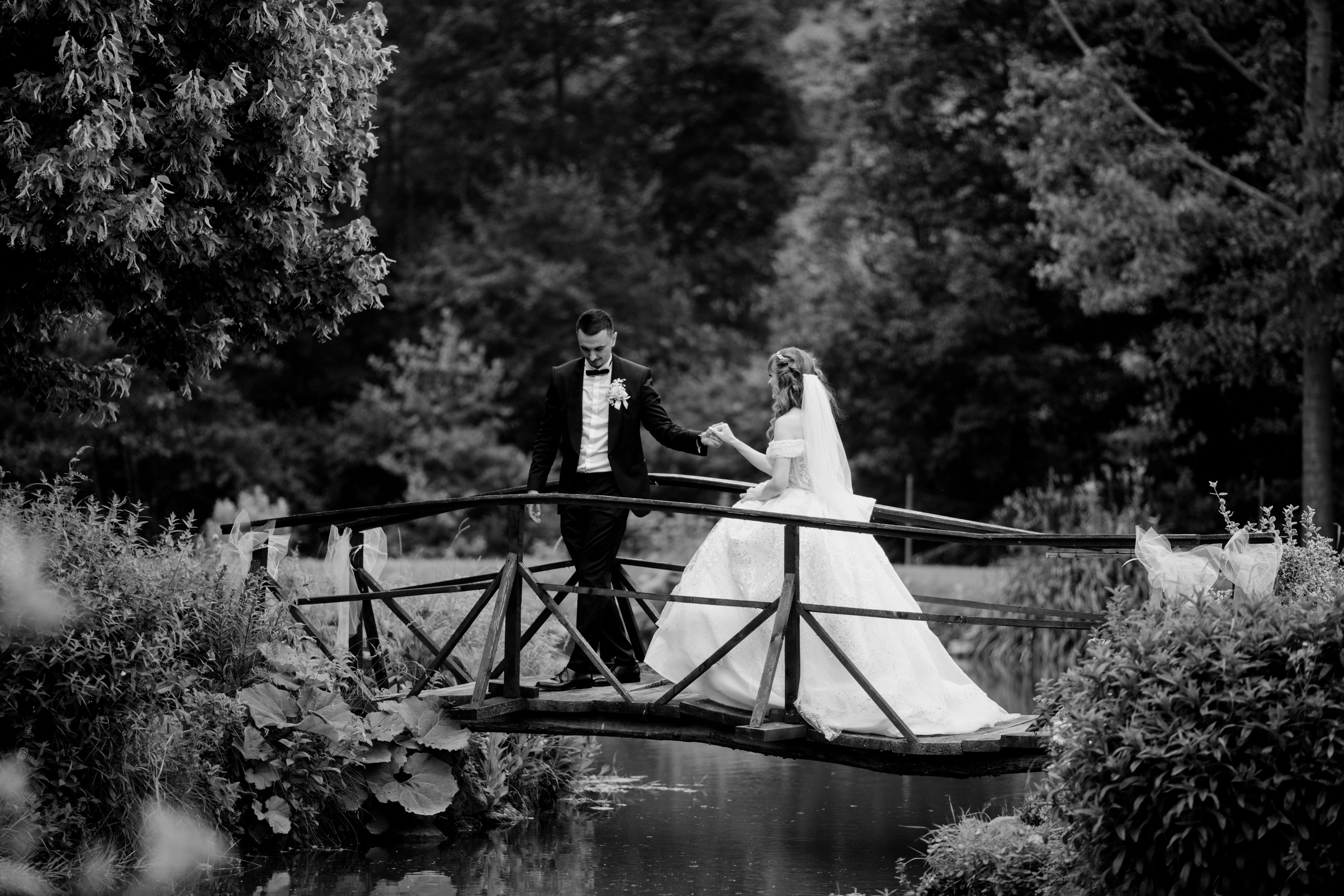 Vladimir & Jovana. NSJ — Wedding Studio