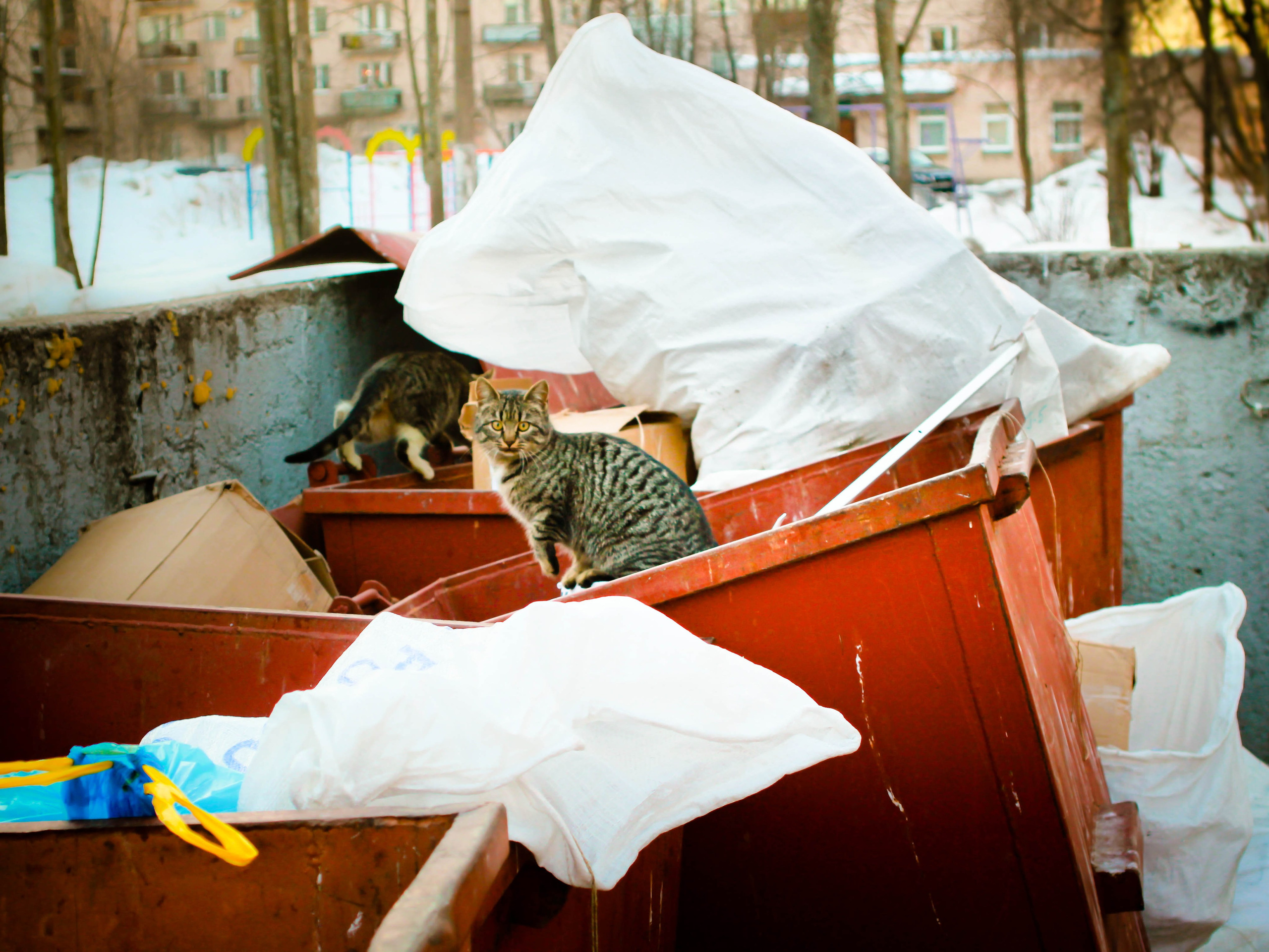 2011. Стрит-фотография, полная абсурда, идиотизма и красоты